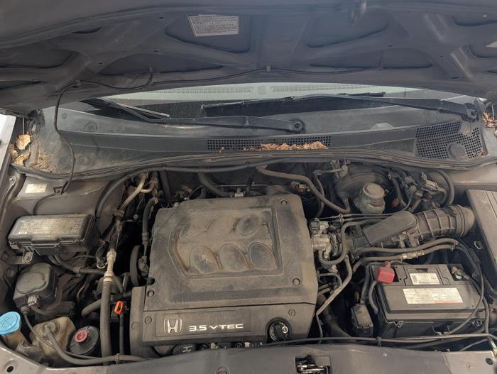 2000 honda odyssey ex with 273688 miles for sale near elk-river, minnesota 00c6a4252b514f7db23bc2311653a59e.jpg
