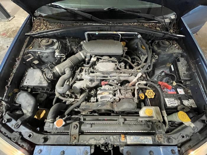 2007 subaru forester sport-2.5x with 125180 miles for sale near elk-river, minnesota 01568f94ada043ec8ec820e5635b8eb0.jpeg