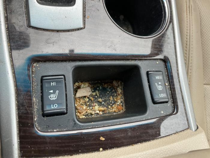 2015 nissan altima 2.5-s with 132672 miles for sale near elk-river, minnesota 020369b2068e495ca819b8d4efd6b559.jpeg