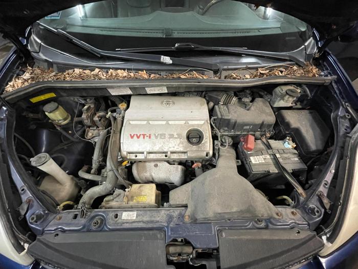 2005 toyota sienna xle with 128463 miles for sale near elk-river, minnesota 02832c3edfe649a7834a9036aa44904e.jpg