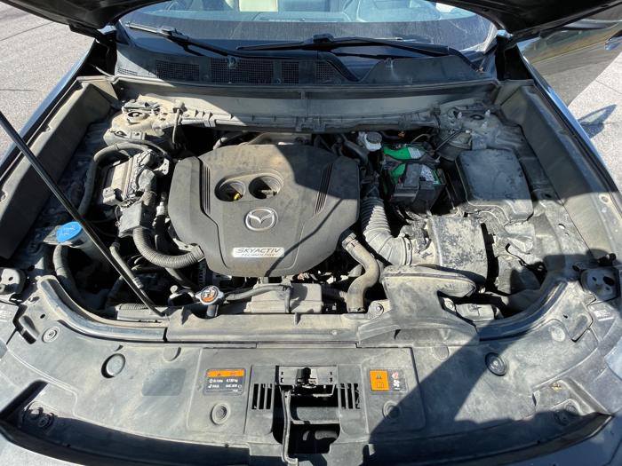 2019 mazda cx-9 grand-touring-awd with 122000 miles for sale near elk-river, minnesota 045c07af1d754870b0c2362e9a9c3096.jpeg
