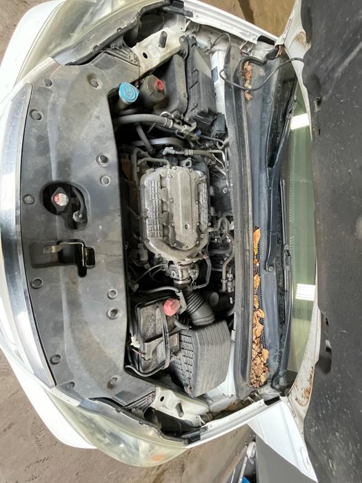 2006 honda odyssey ex with 231924 miles for sale near elk-river, minnesota 0463a08d23e84d8ea67e4fc136a62556.jpeg