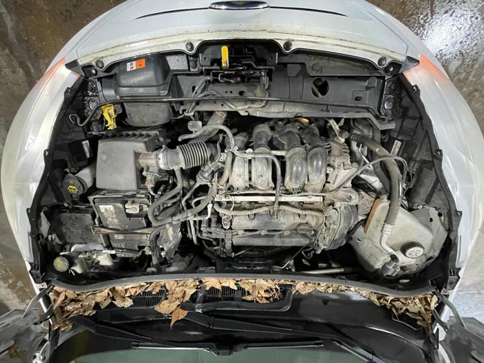 2012 ford fiesta ses with 187957 miles for sale near elk-river, minnesota 0742e06486c04f38a36d555e8cb69606.jpg