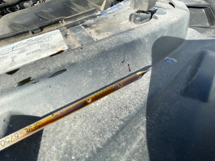 2005 ford five-hundred with 220887 miles for sale near elk-river, minnesota 0b3d5290e179447bbf4c8f8ffd2564e1.jpeg