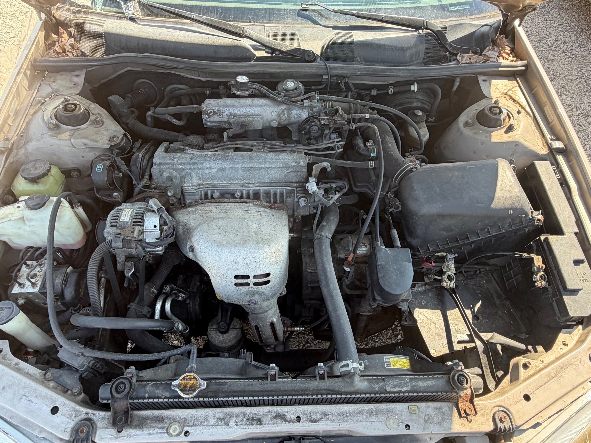 1999 toyota camry ce for sale near elk-river, minnesota 0ceb95dddaf04f7ab320daeb7b3570f3.jpeg