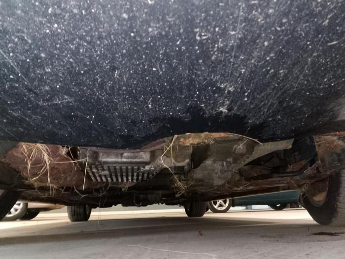 2004 mazda mazda6 s-5-door with 148862 miles for sale near elk-river, minnesota 10146a58948742fbab96a3f92ab71123.jpg
