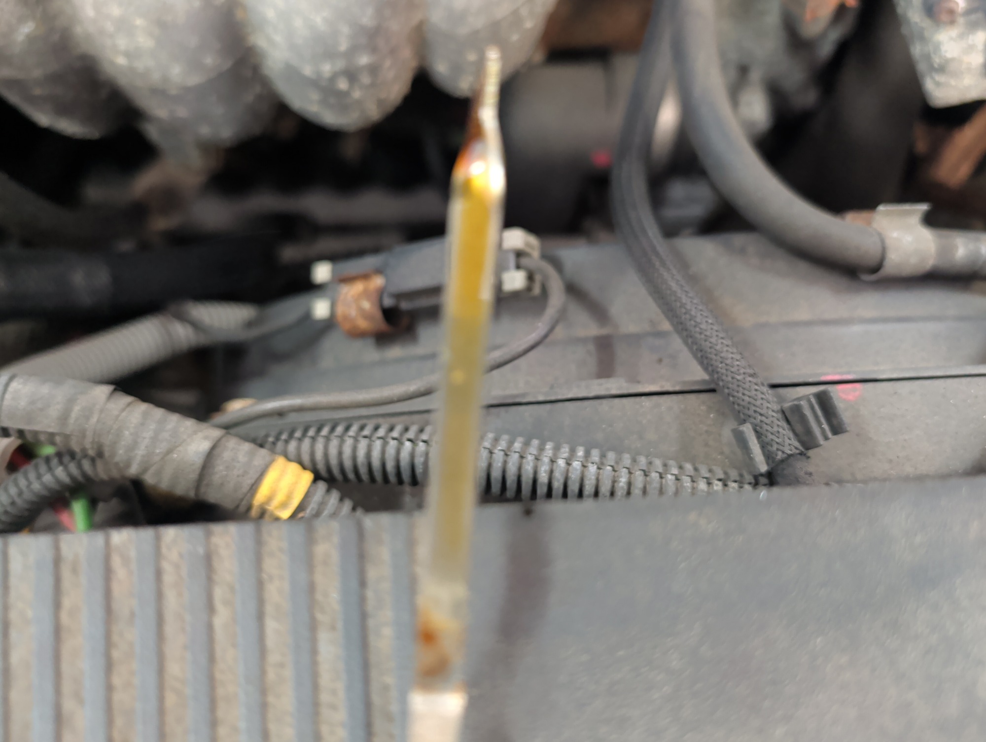 1999 volvo s70 base with 207747 miles for sale near elk-river, minnesota 105435_50_oil_dipstick.jpg