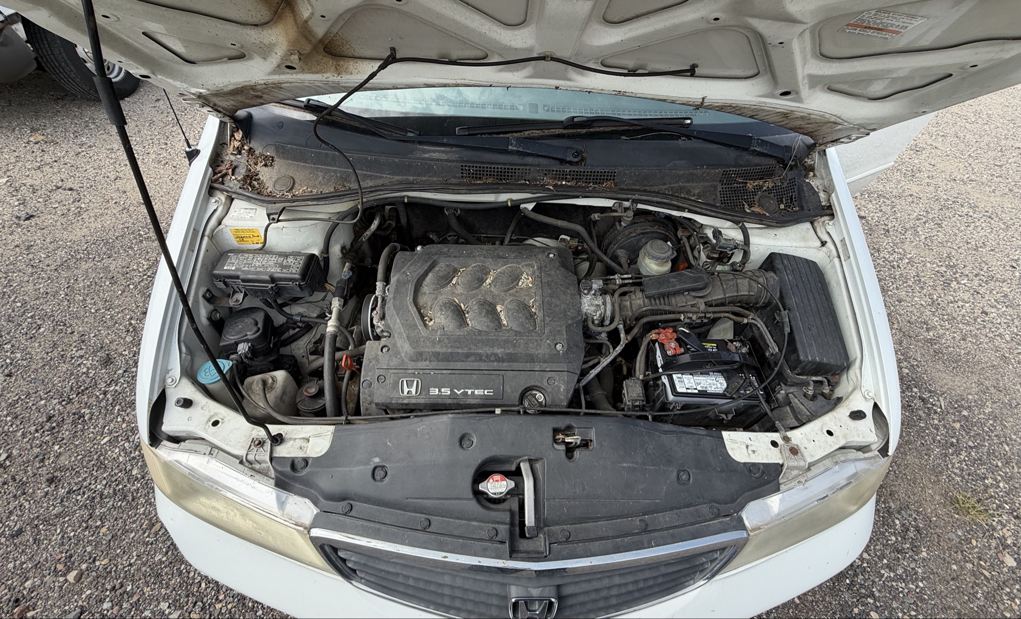 2000 honda odyssey ex with 217087 miles for sale near elk-river, minnesota 106108_49_engine_bay.jpg