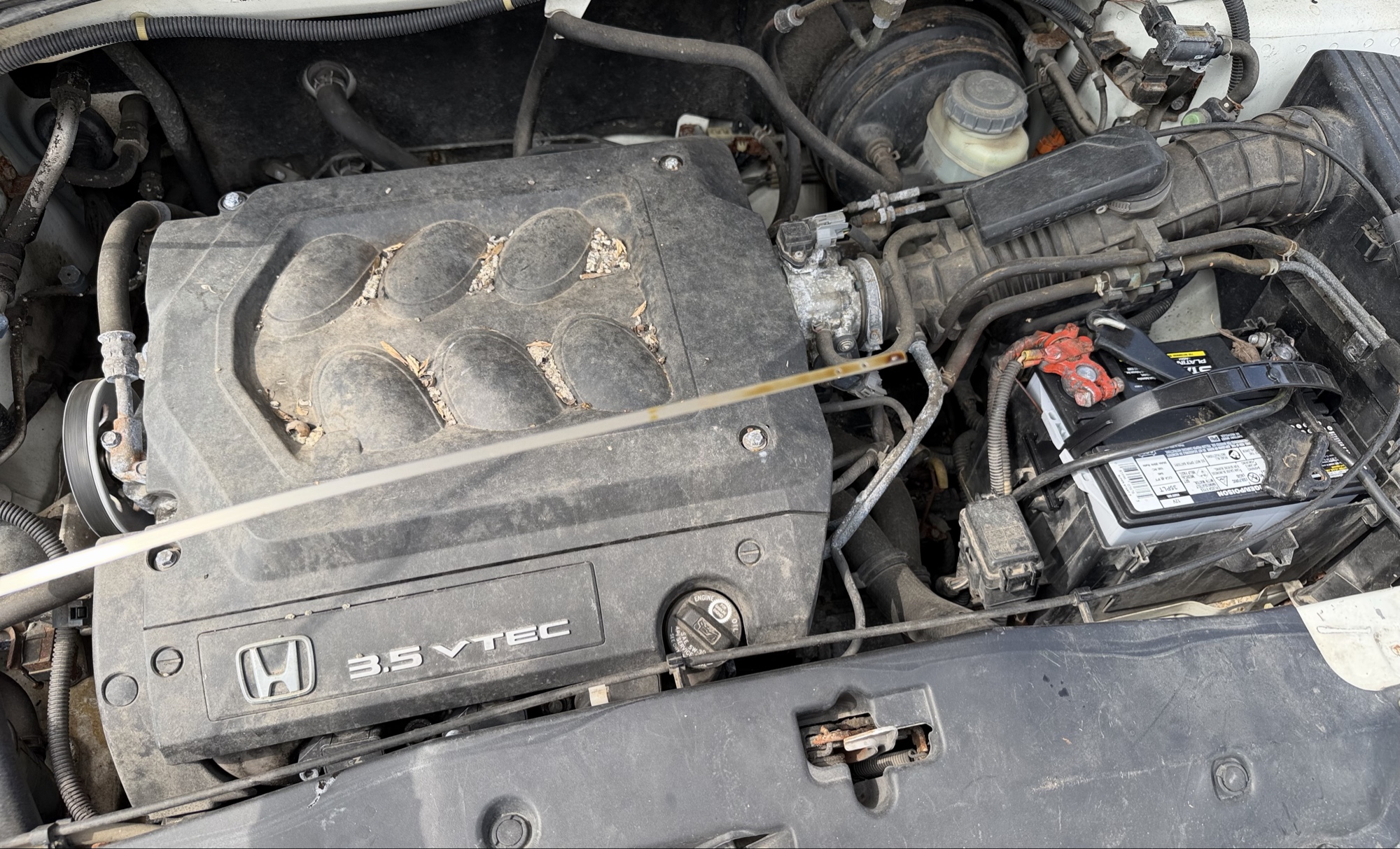 2000 honda odyssey ex with 217087 miles for sale near elk-river, minnesota 106108_50_oil_dipstick.jpg