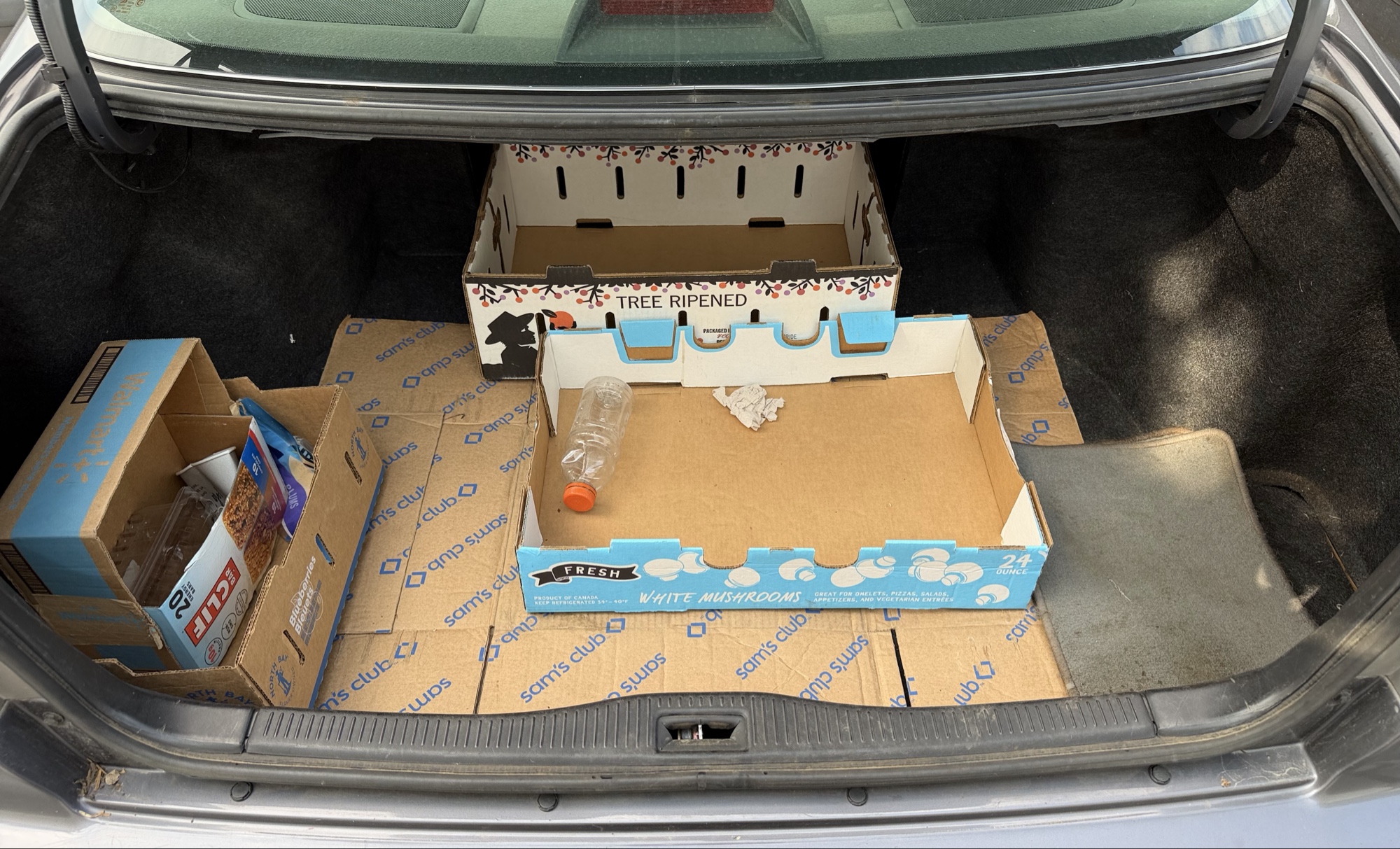 1999 toyota camry ce with 87445 miles for sale near elk-river, minnesota 106311_26_trunk.jpg
