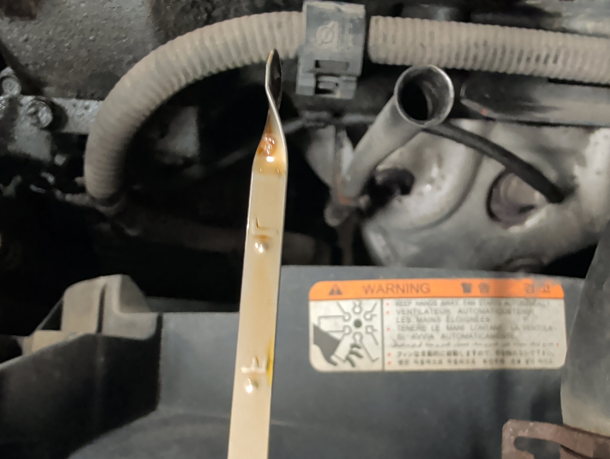 2008 kia amanti with 189860 miles for sale near elk-river, minnesota 106314_50_oil_dipstick.jpg