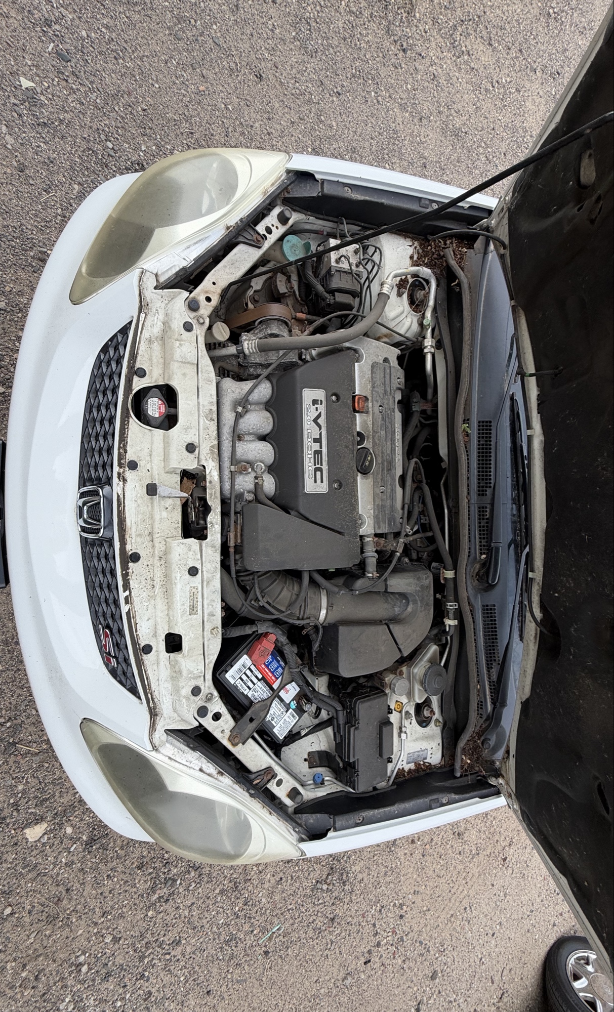 2004 honda civic si with 213892 miles for sale near elk-river, minnesota 106347_49_engine_bay.jpg