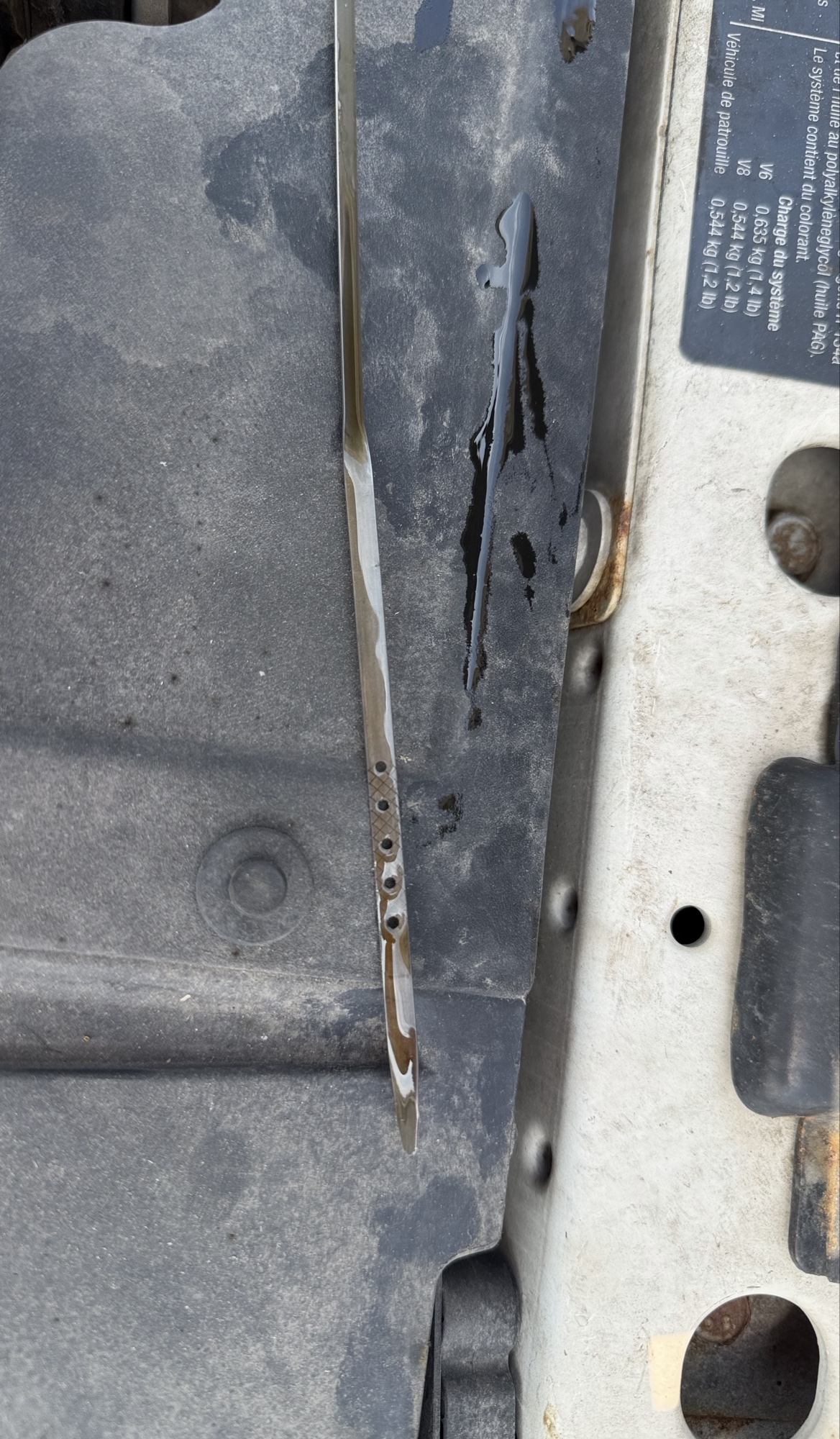 2008 pontiac grand-prix sedan with 118916 miles for sale near elk-river, minnesota 106356_50_oil_dipstick.jpg