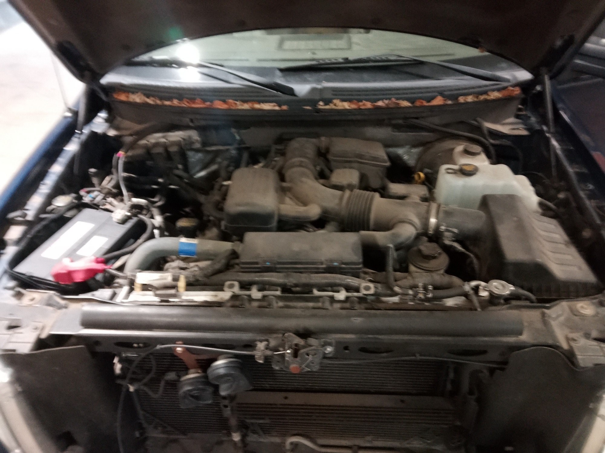 2009 ford f-150 with 94487 miles for sale near elk-river, minnesota 106366_49_engine_bay.jpg