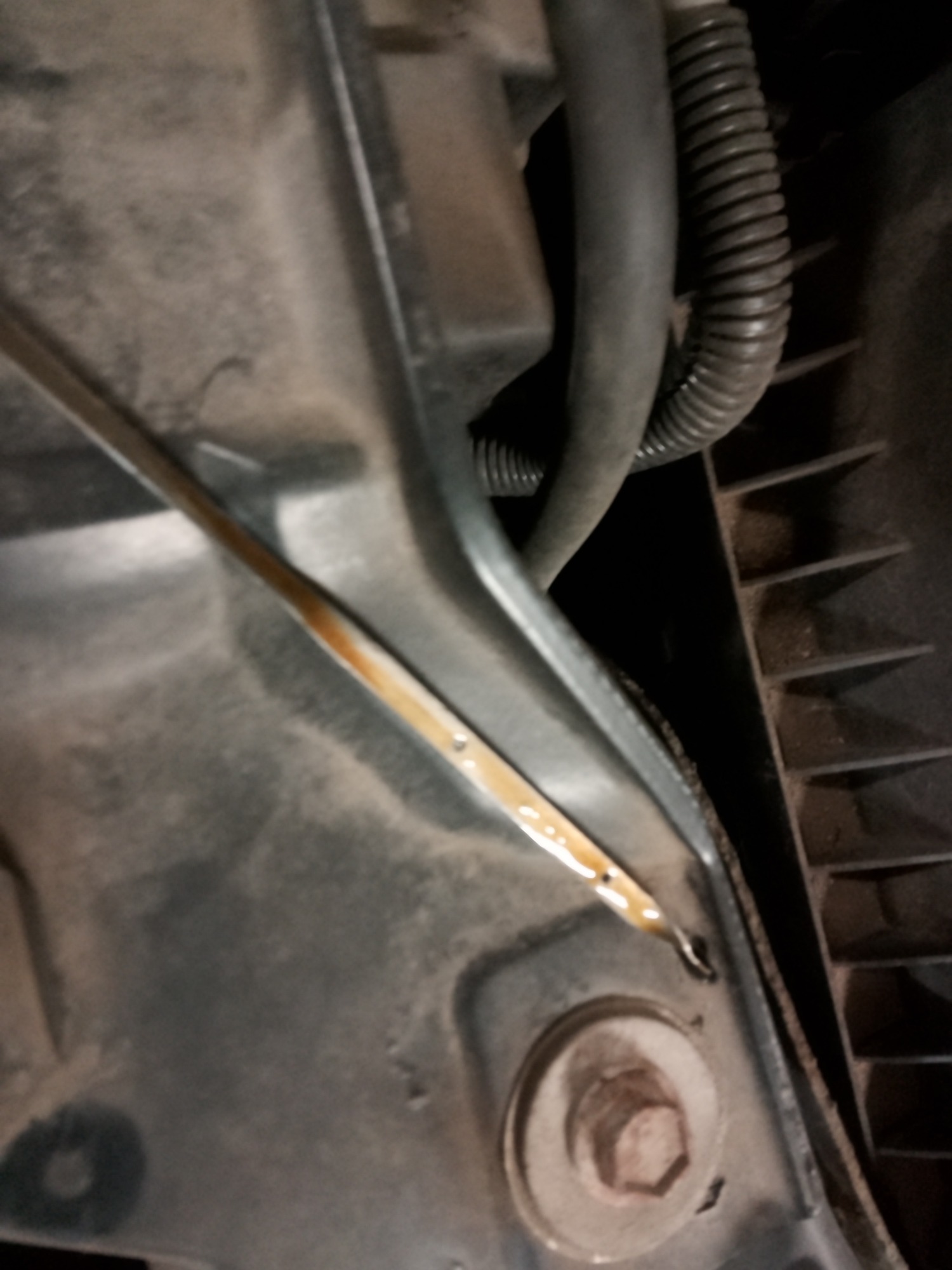 2009 ford f-150 with 94487 miles for sale near elk-river, minnesota 106366_50_oil_dipstick.jpg