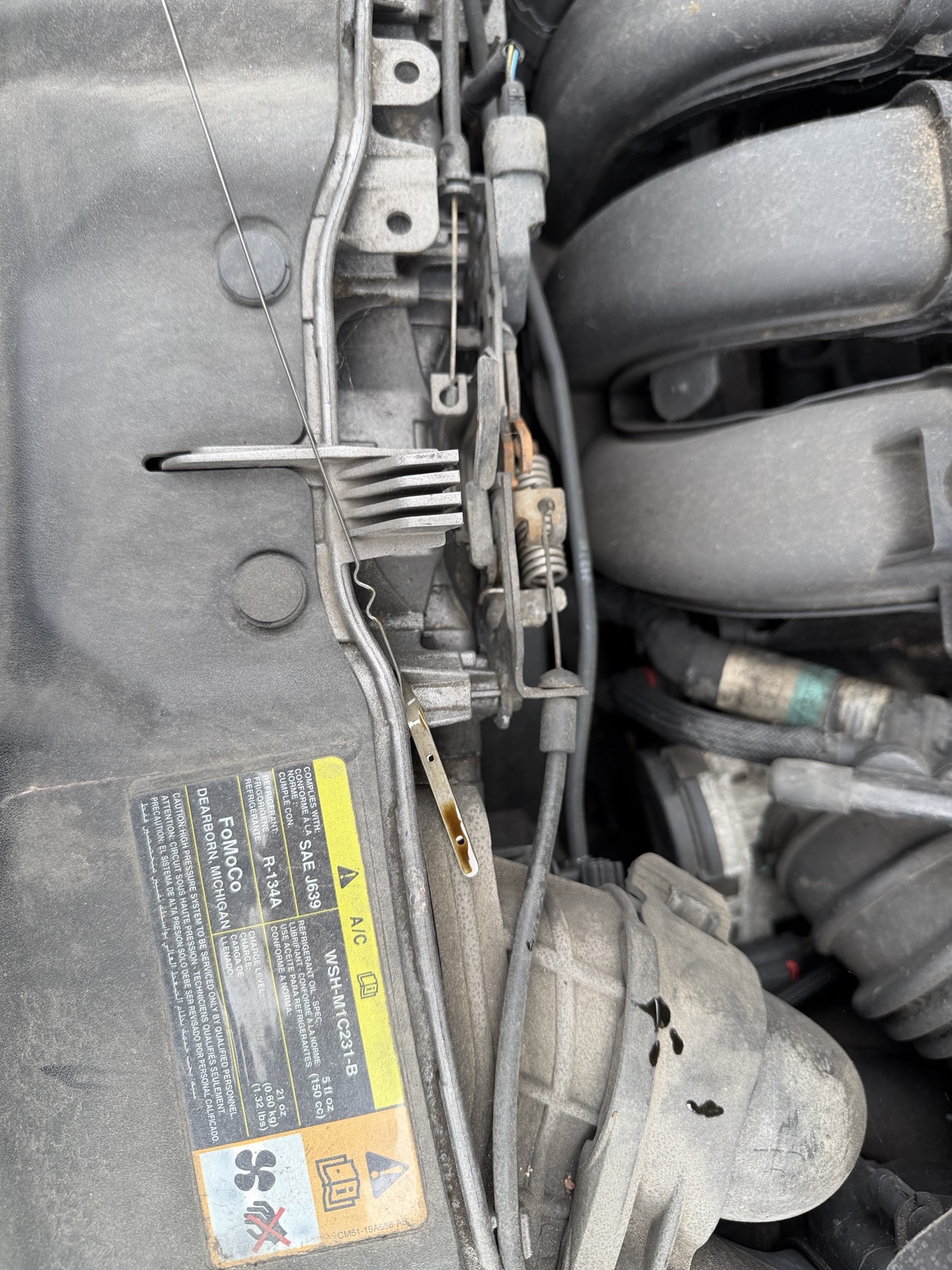 2012 ford focus se with 200341 miles for sale near elk-river, minnesota 106416_50_oil_dipstick.jpg