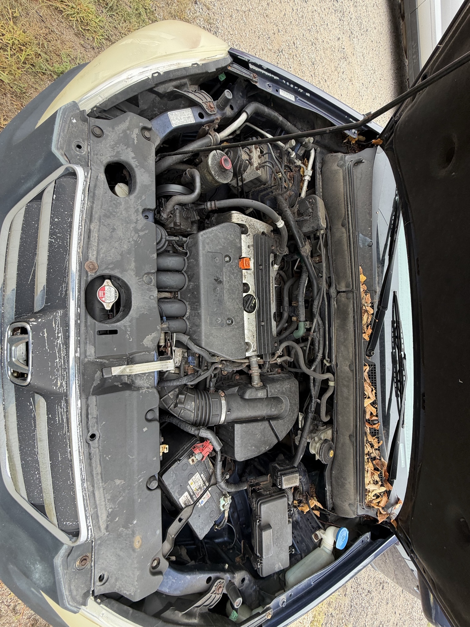 2005 honda cr-v ex-4wd-at with 222049 miles for sale near elk-river, minnesota 106453_49_engine_bay.jpg