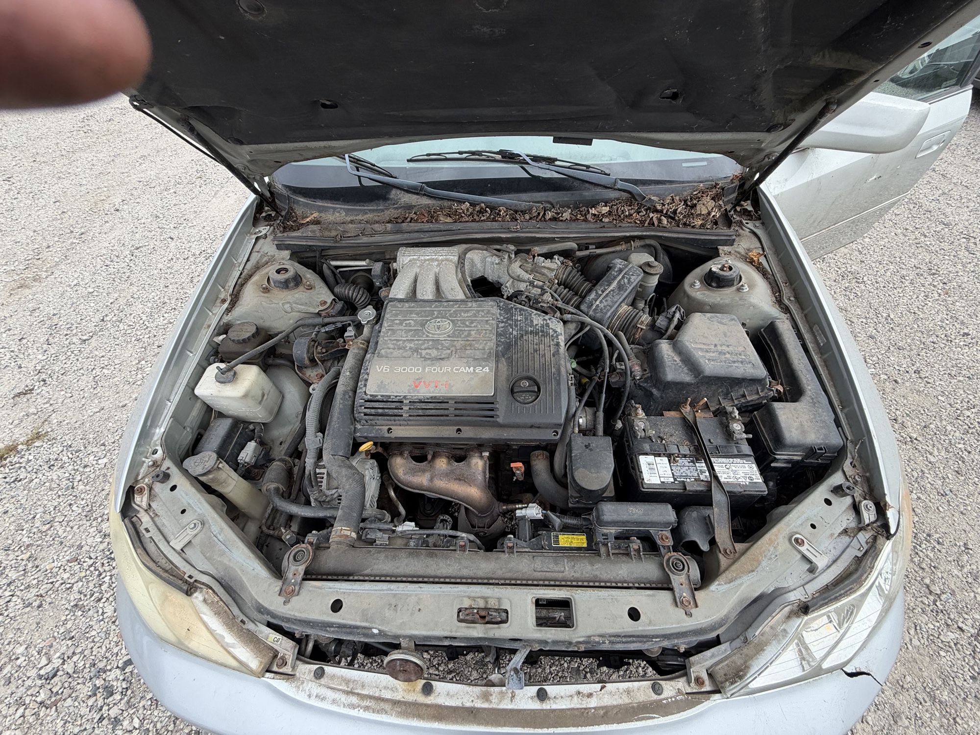 2000 toyota avalon xl with 226788 miles for sale near elk-river, minnesota 106459_49_engine_bay.jpg