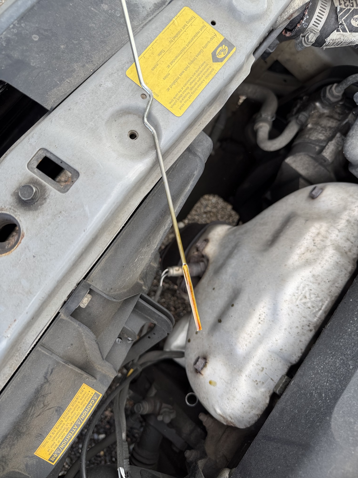 2008 chevrolet aveo5 ls with 134441 miles for sale near elk-river, minnesota 106487_50_oil_dipstick.jpg