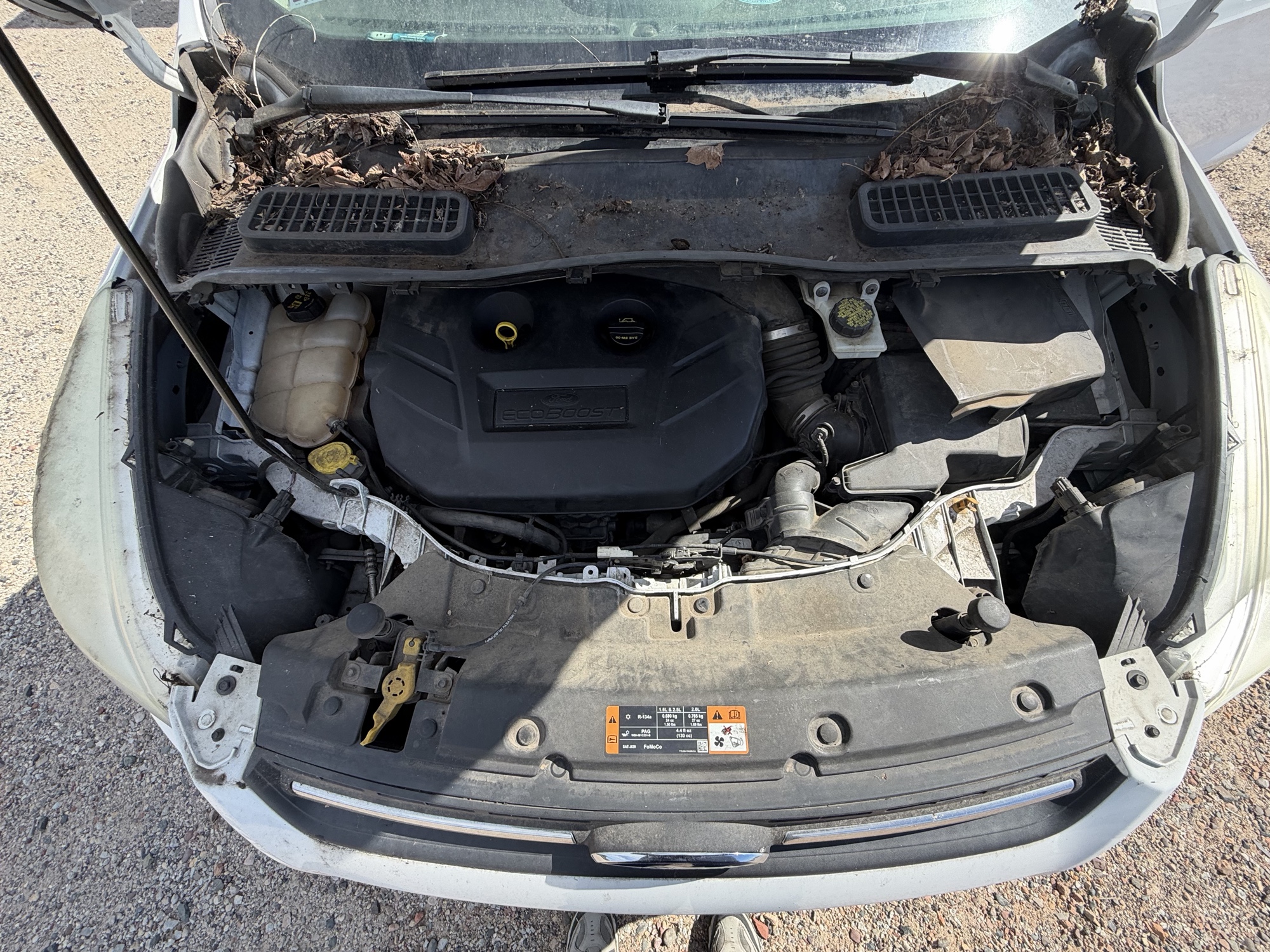 2015 ford escape se-4wd with 166884 miles for sale near elk-river, minnesota 106510_49_engine_bay.jpg
