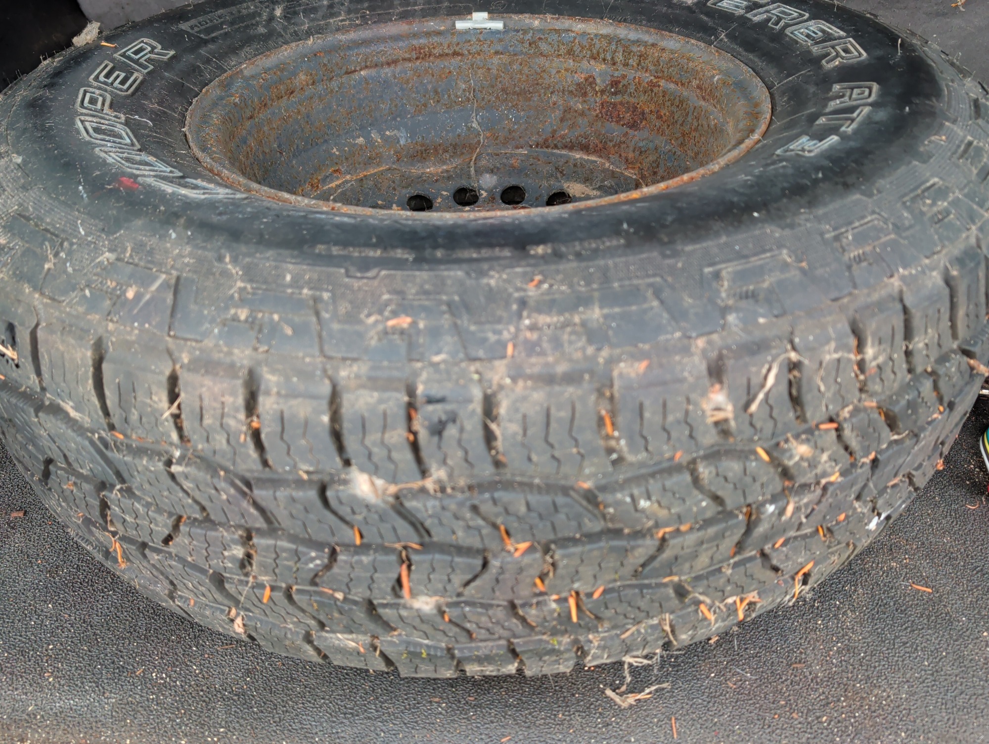 2001 nissan xterra xe-4wd with 205423 miles for sale near elk-river, minnesota 106546_27_spare_tire.jpg