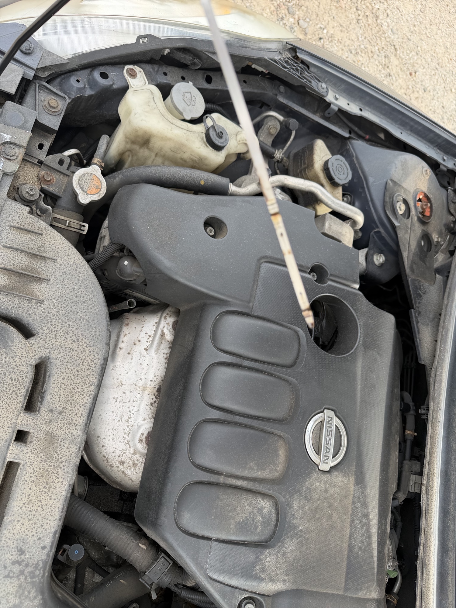 2010 nissan altima 2.5-s with 231356 miles for sale near elk-river, minnesota 106560_50_oil_dipstick.jpg