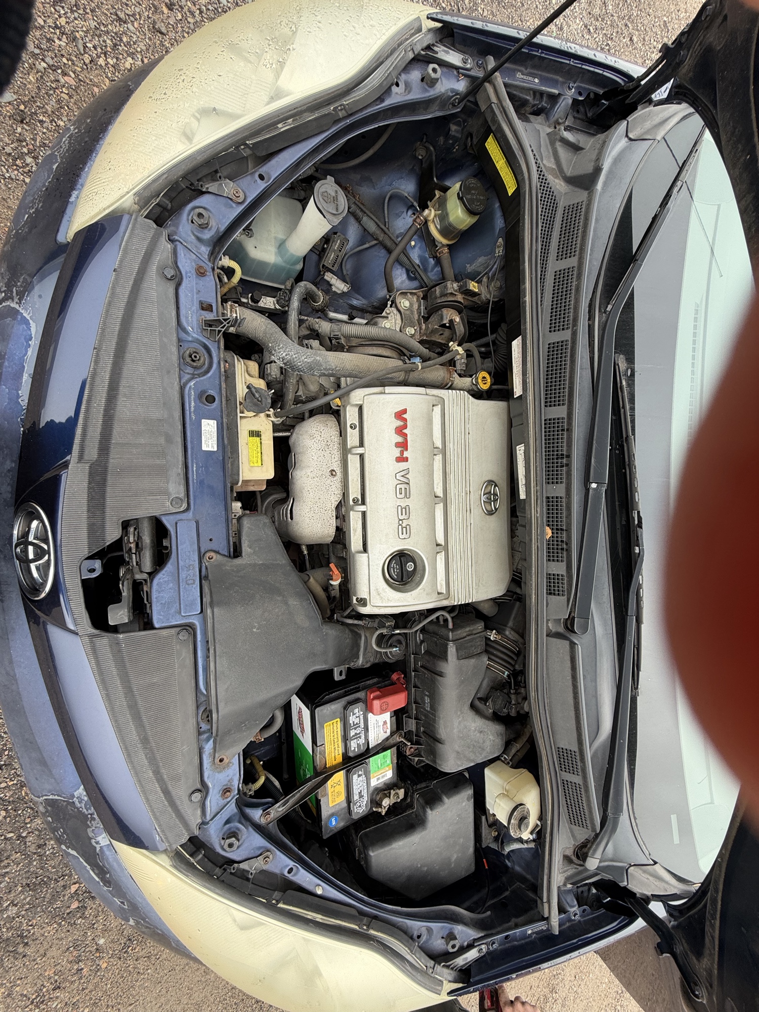 2006 toyota sienna le-7-passenger with 96729 miles for sale near Elk River, Minnesota 106581_49_engine_bay.jpg