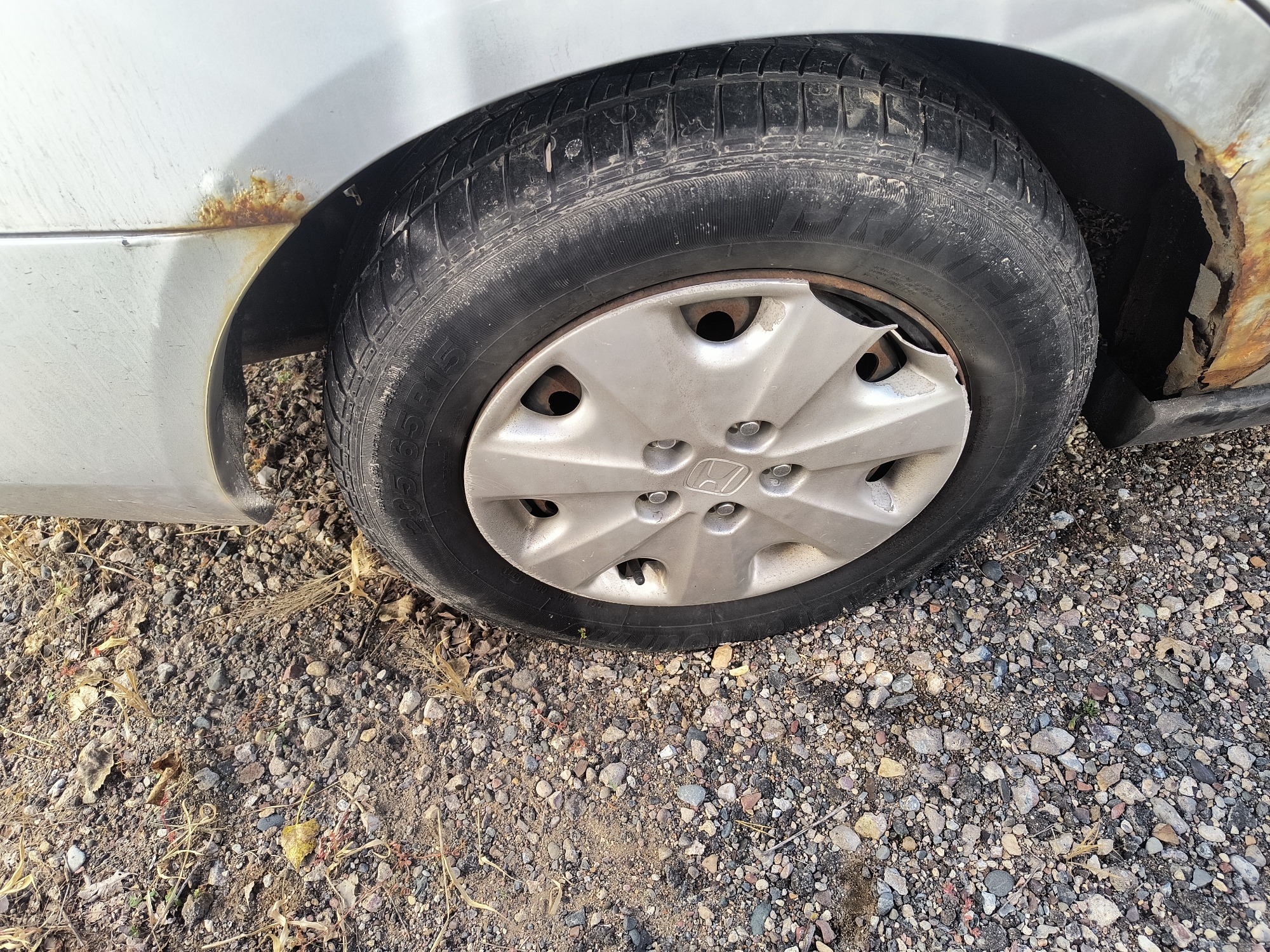 2003 honda accord lx-sedan-at for sale near Elk River, Minnesota 106591_14_rear_pass_wheel.jpg