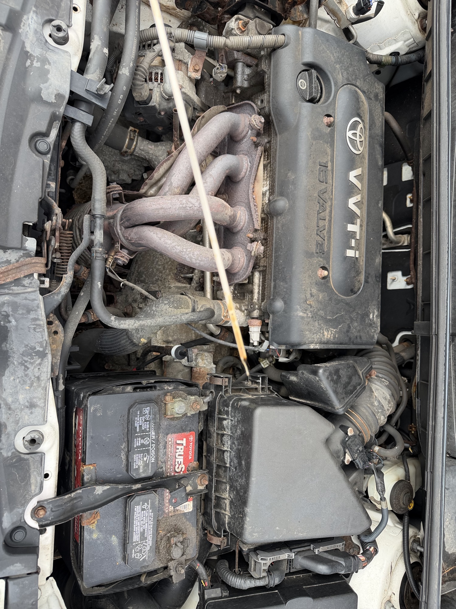 2010 scion xb 5-door-wagon-5-spd-mt with 219543 miles for sale near Elk River, Minnesota 106606_50_oil_dipstick.jpg