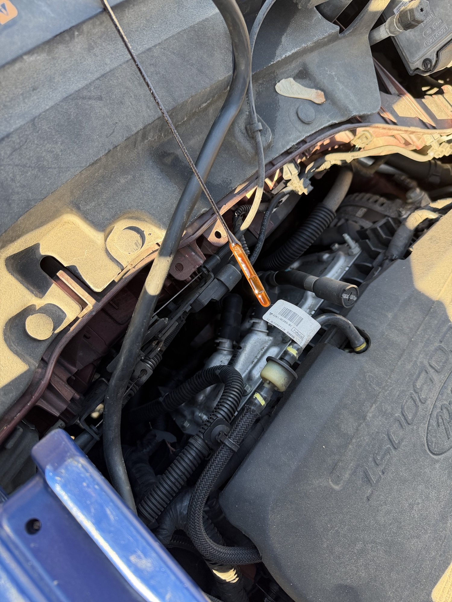 2018 ford escape sel-4wd with 133463 miles for sale near Elk River, Minnesota 106618_50_oil_dipstick.jpg