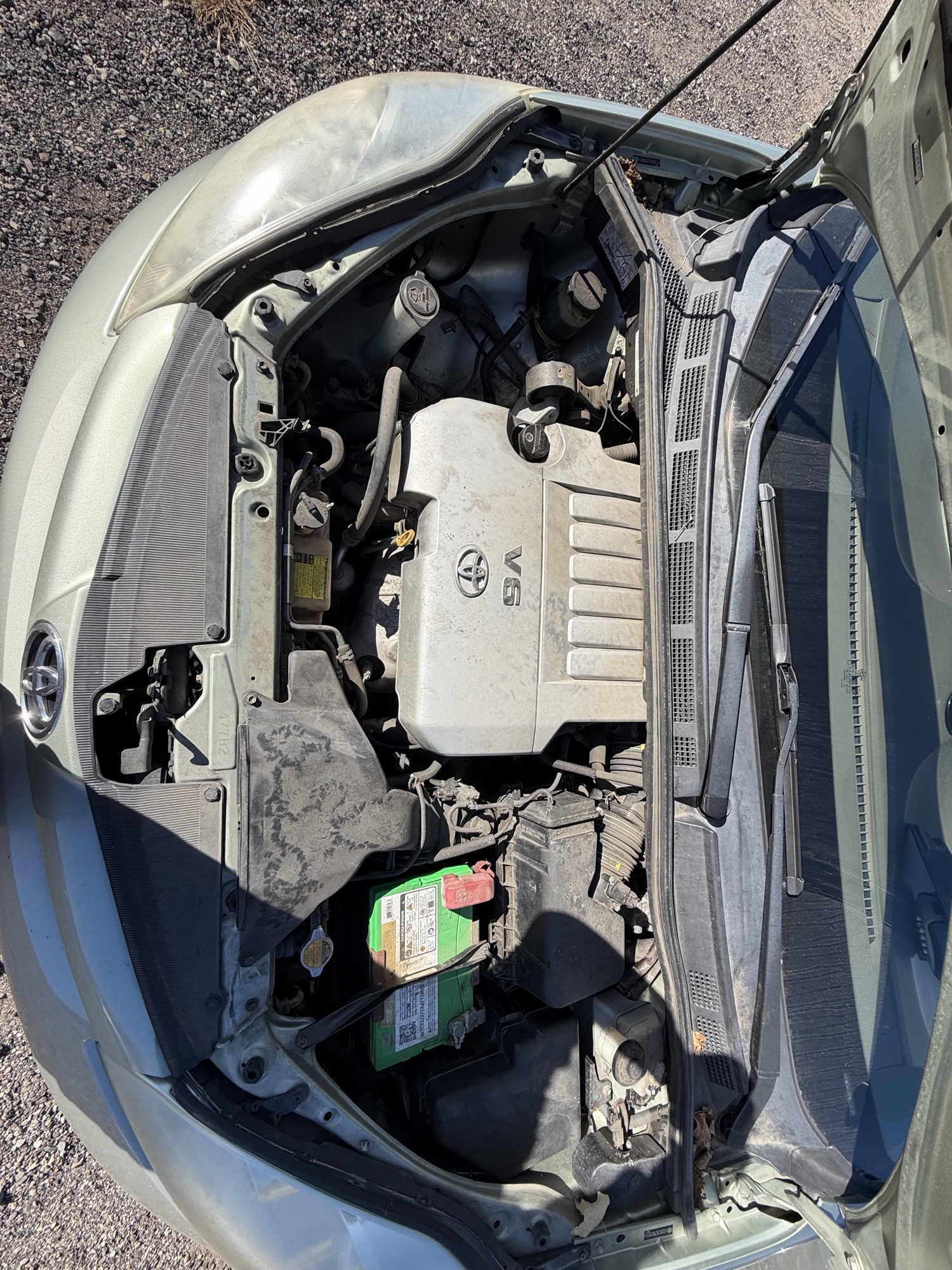 2009 toyota sienna ce-fwd-7-passenger with 179777 miles for sale near Elk River, Minnesota 106631_49_engine_bay.jpg