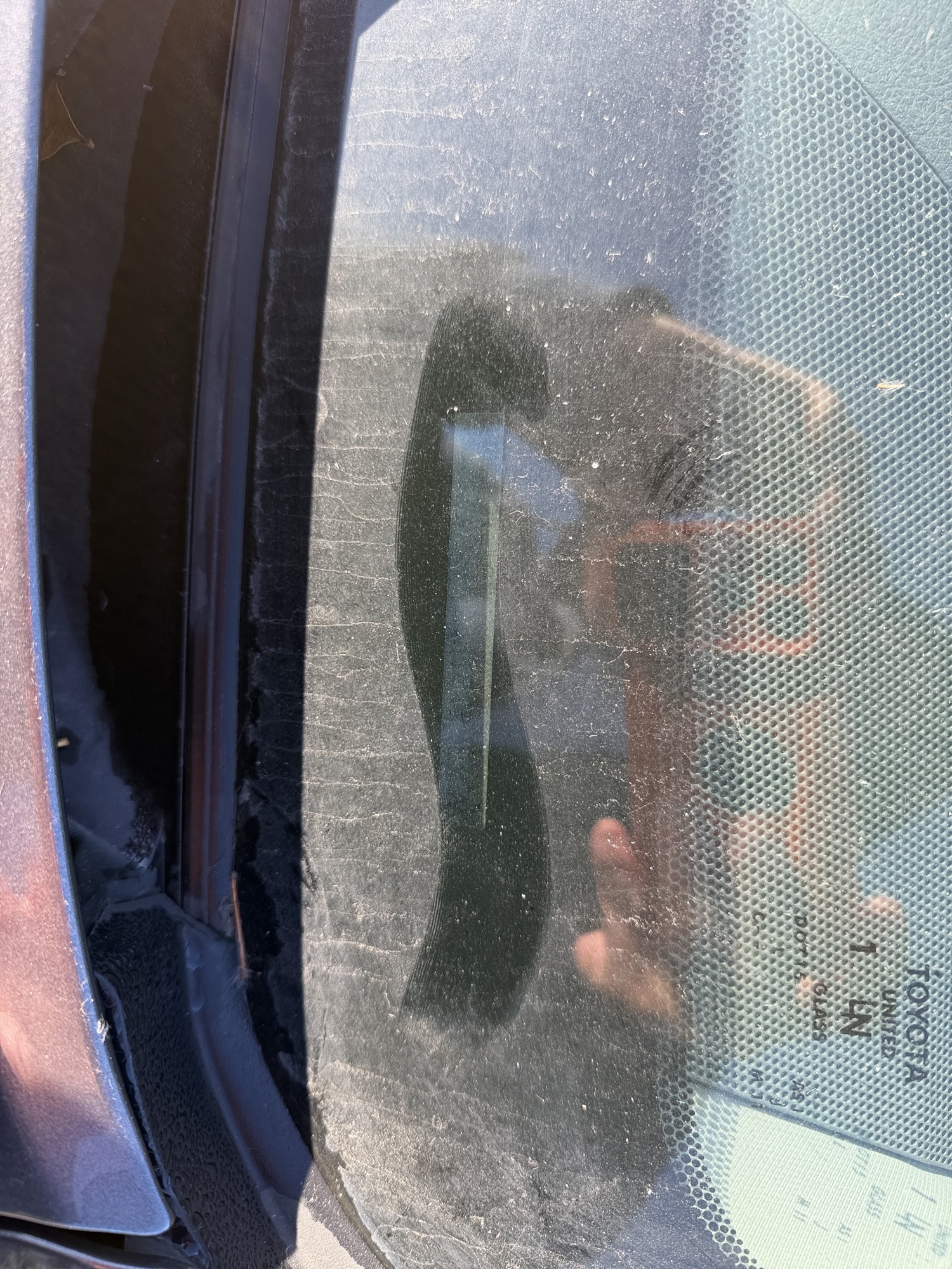 2011 toyota camry base-6-spd-at with 219492 miles for sale near Elk River, Minnesota 106639_48_windshield_vin_plate.jpg