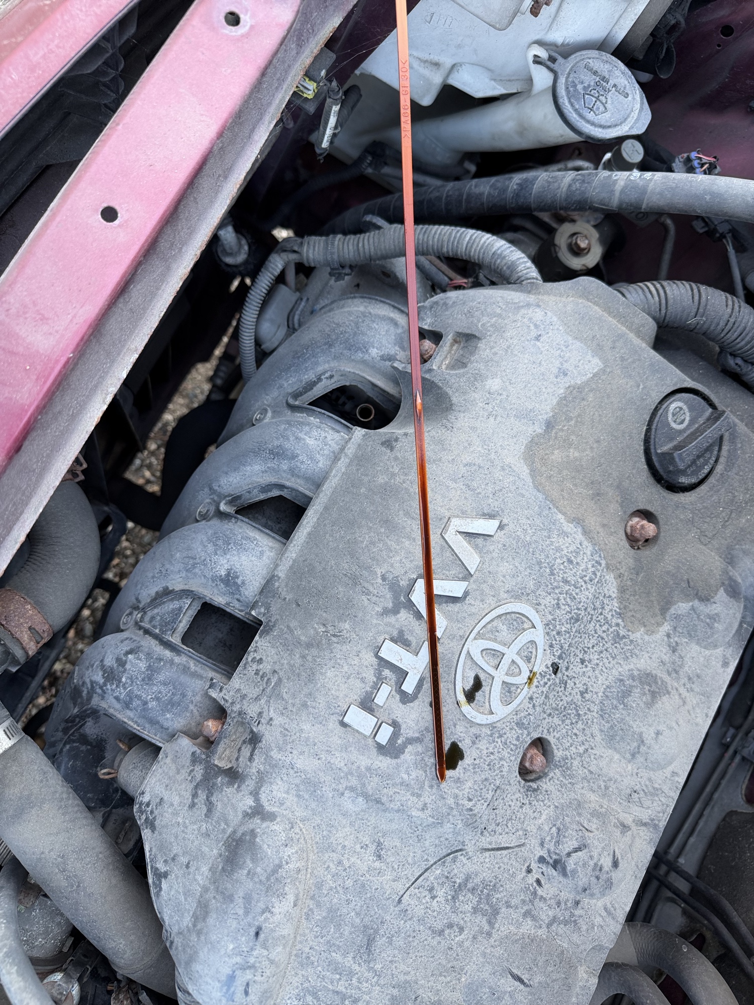 2006 scion xb wagon with 203036 miles for sale near Elk River, Minnesota 106646_50_oil_dipstick.jpg