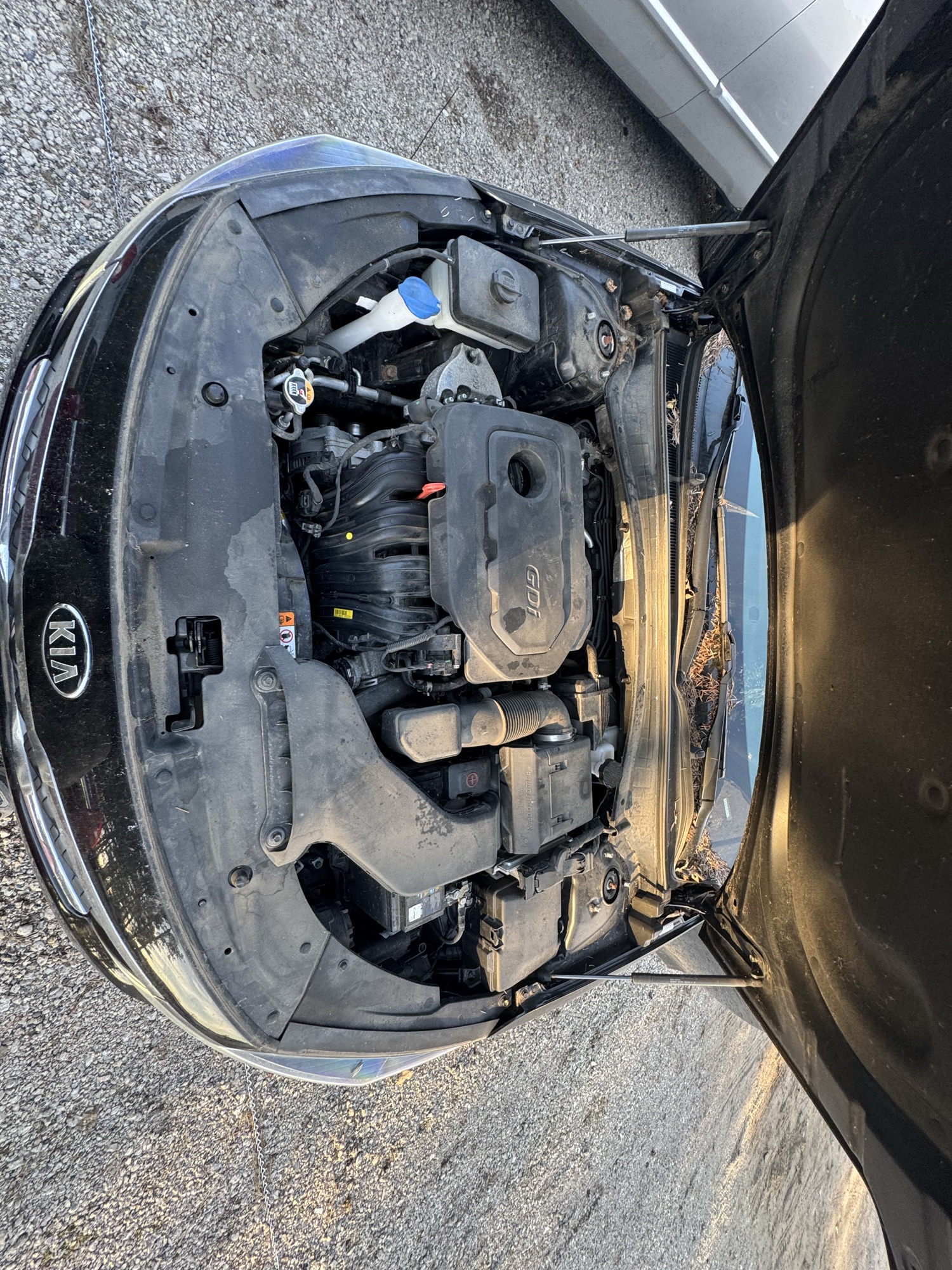 2020 kia optima lx with 79869 miles for sale near Elk River, Minnesota 106650_49_engine_bay.jpg