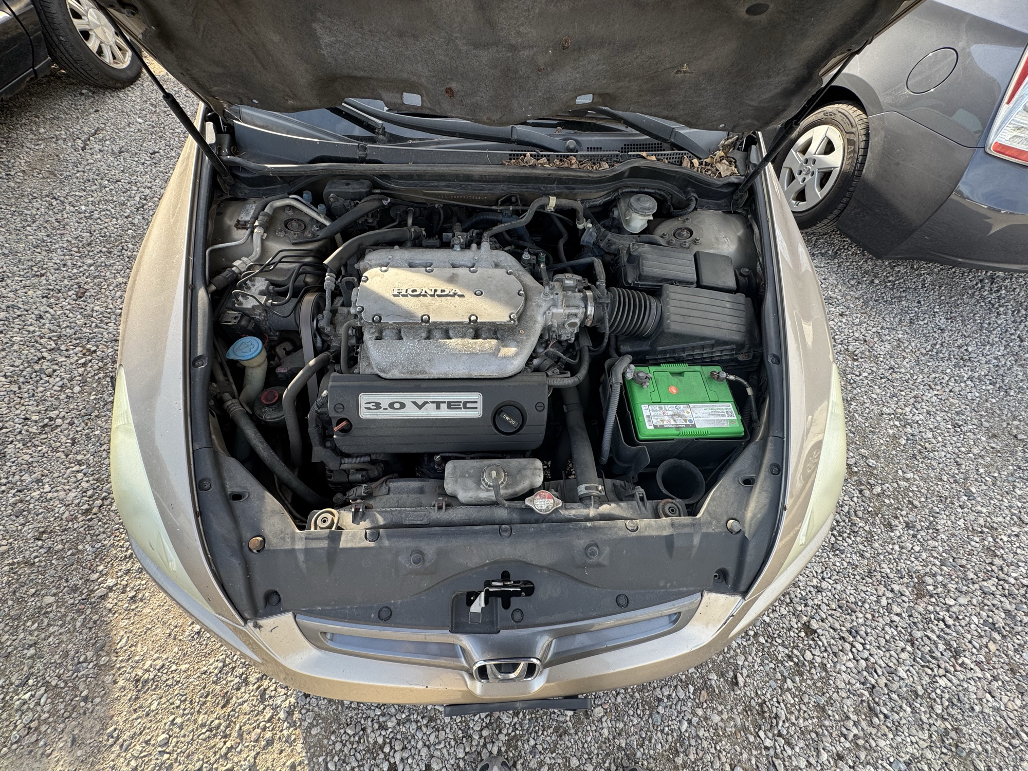 2003 honda accord ex-v6-sedan-at with 244000 miles for sale near Elk River, Minnesota 106662_49_engine_bay.jpg