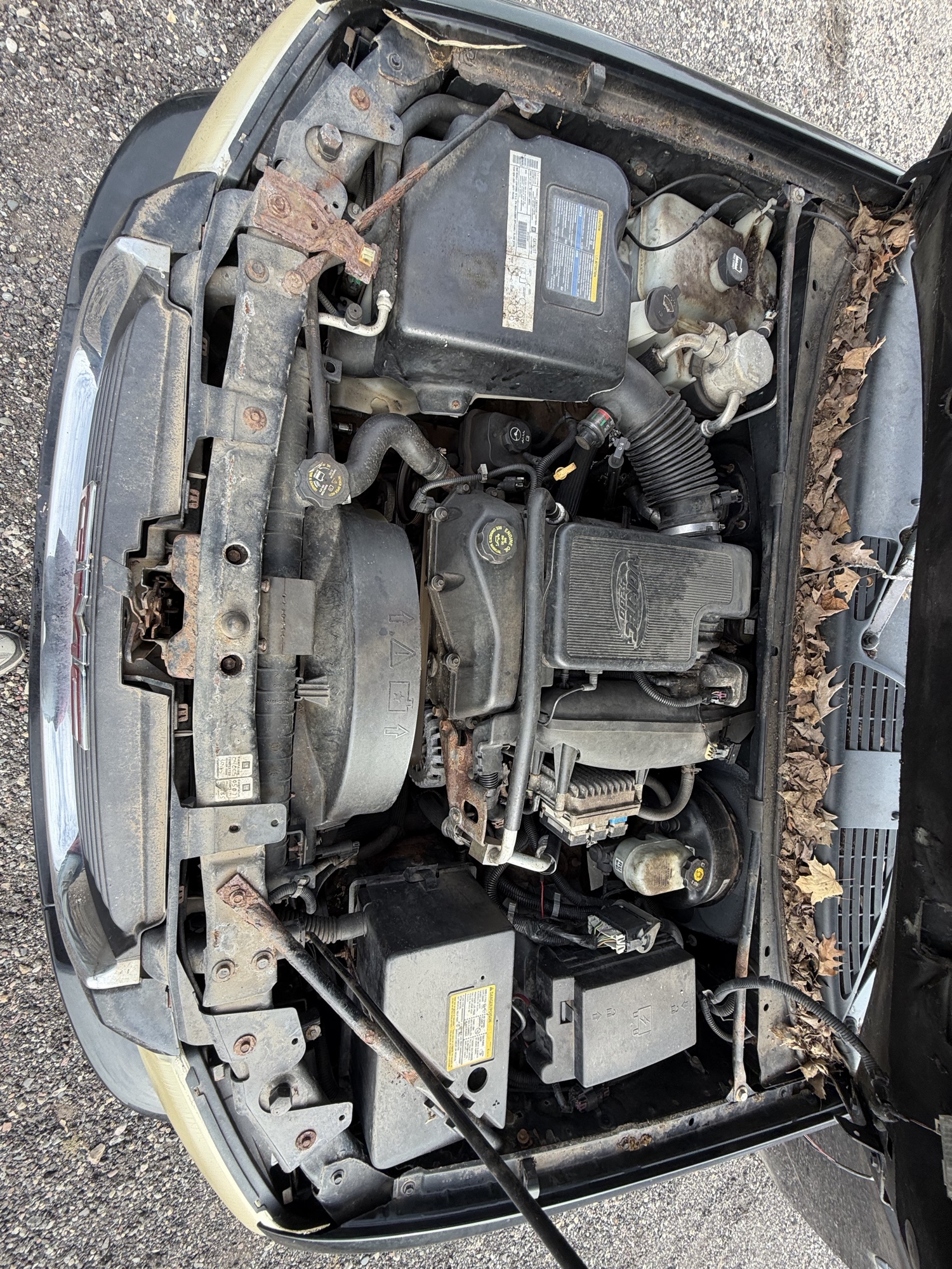 2002 gmc envoy with 220295 miles for sale near Elk River, Minnesota 106665_49_engine_bay.jpg