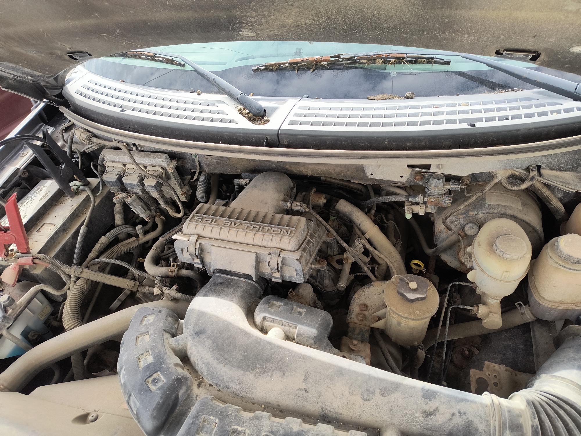 2004 ford f-150 xl-supercab-4wd with 217438 miles for sale near Elk River, Minnesota 106666_49_engine_bay.jpg