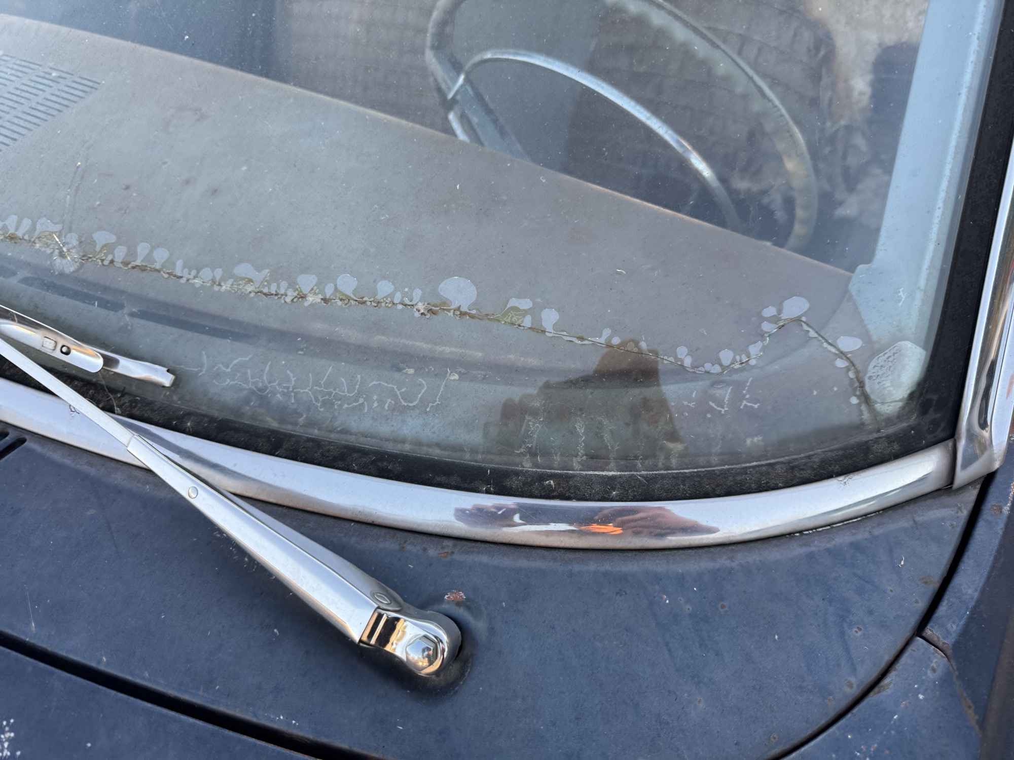 1964 plymouth belvedere with 104130 miles for sale near Elk River, Minnesota 106675_48_windshield_vin_plate.jpg