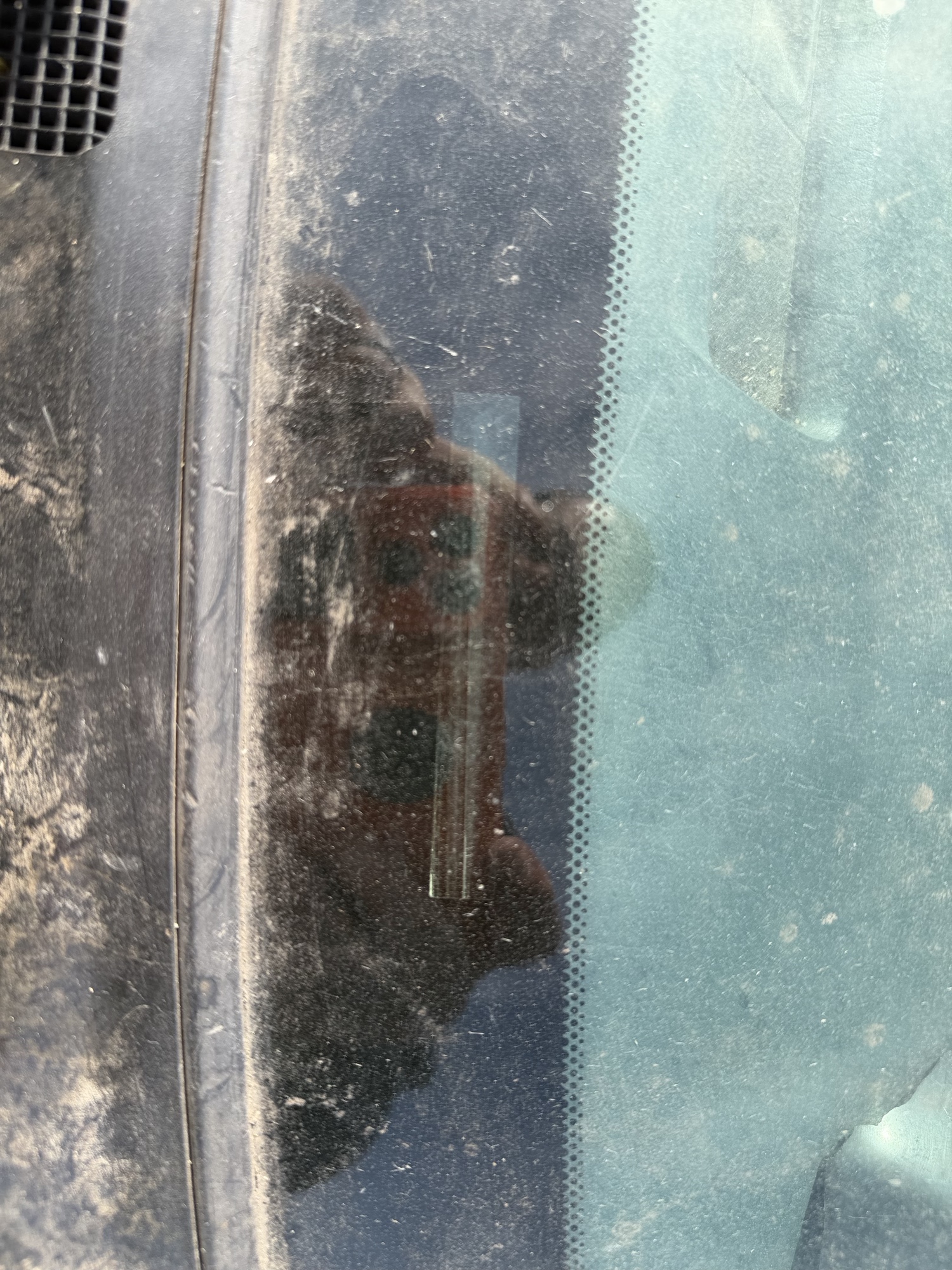 2000 toyota camry ce with 130717 miles for sale near Elk River, Minnesota 106676_48_windshield_vin_plate.jpg