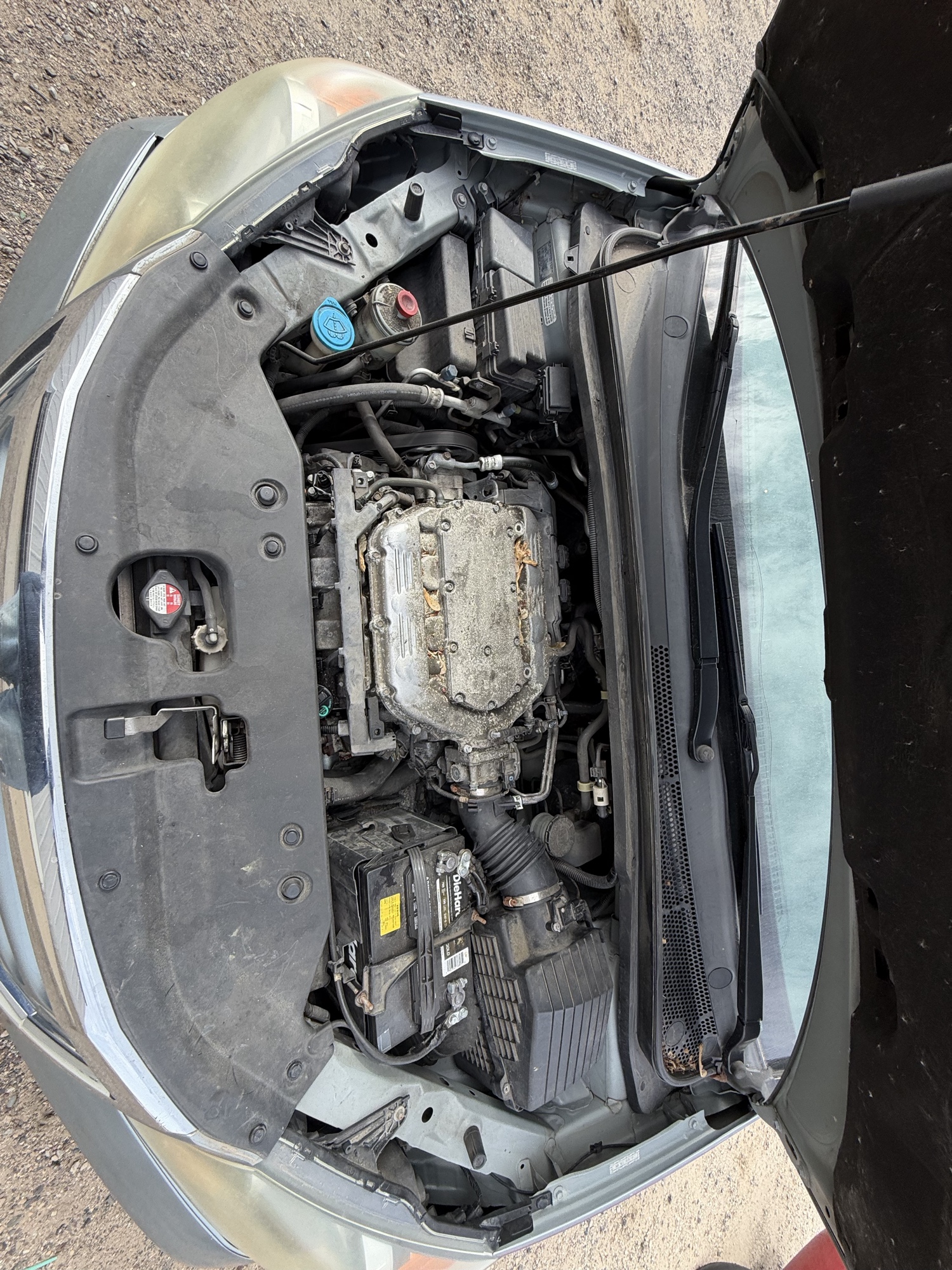 2009 honda odyssey with 273492 miles for sale near Elk River, Minnesota 106682_49_engine_bay.jpg