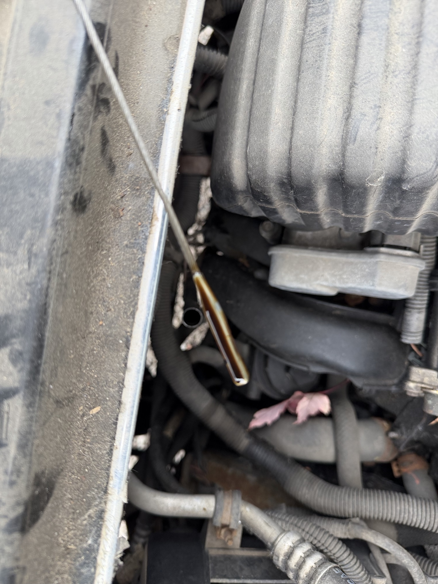 2003 saturn vue fwd with 178435 miles for sale near Elk River, Minnesota 106689_50_oil_dipstick.jpg