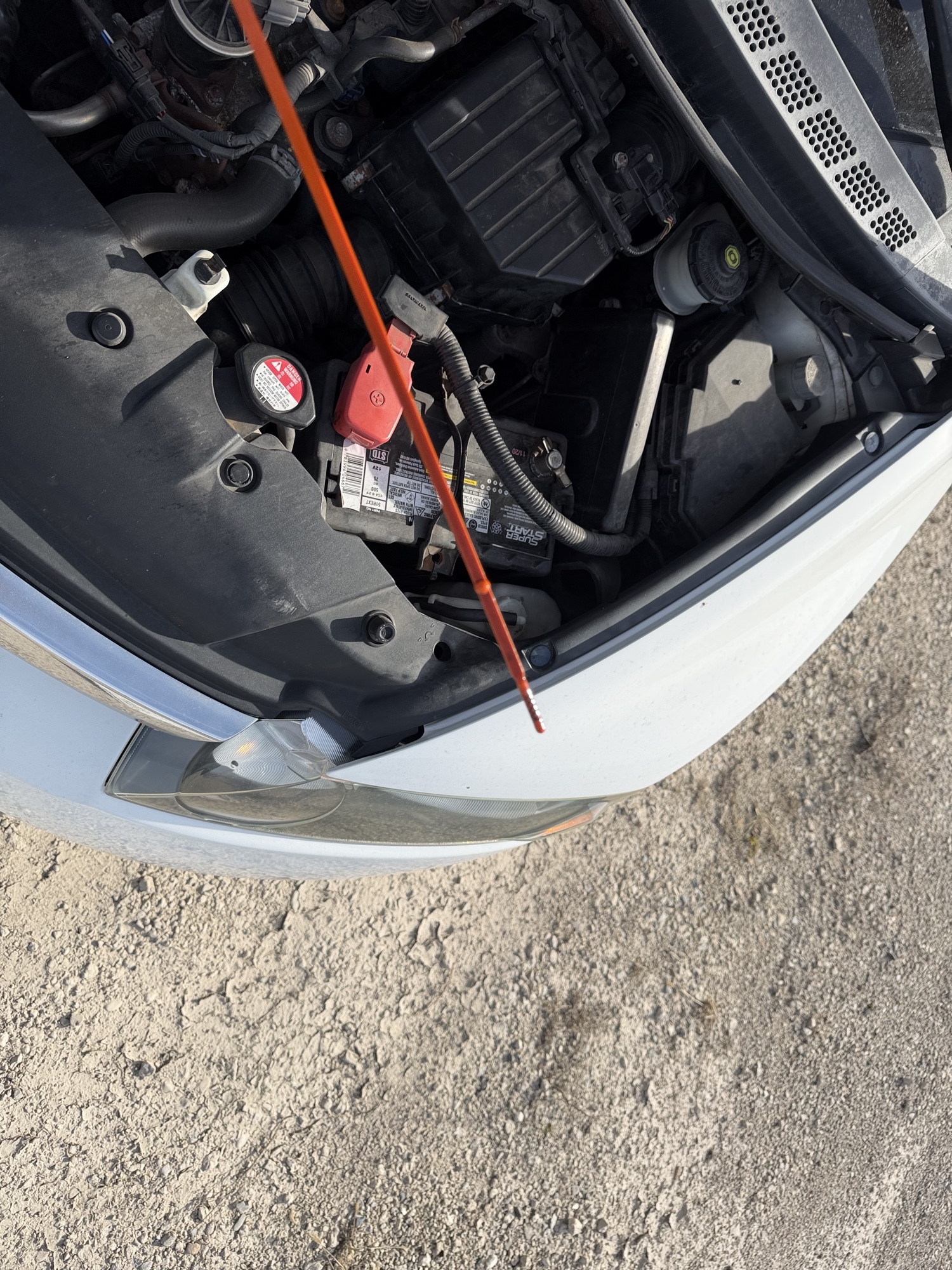 2006 honda civic lx-sedan with 201831 miles for sale near Elk River, Minnesota 106691_50_oil_dipstick.jpg
