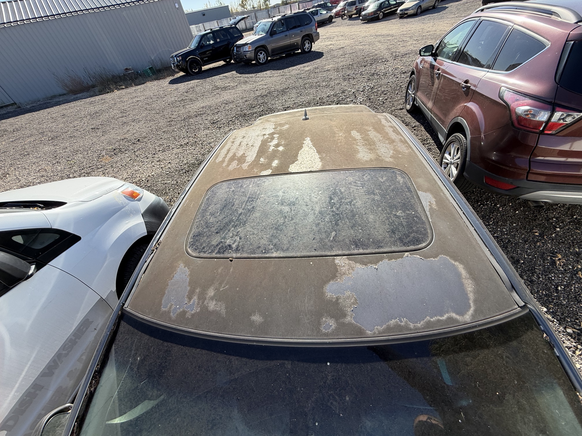 2010 acura tsx 5-speed-at with 228743 miles for sale near Elk River, Minnesota 106694_11_roof.jpg