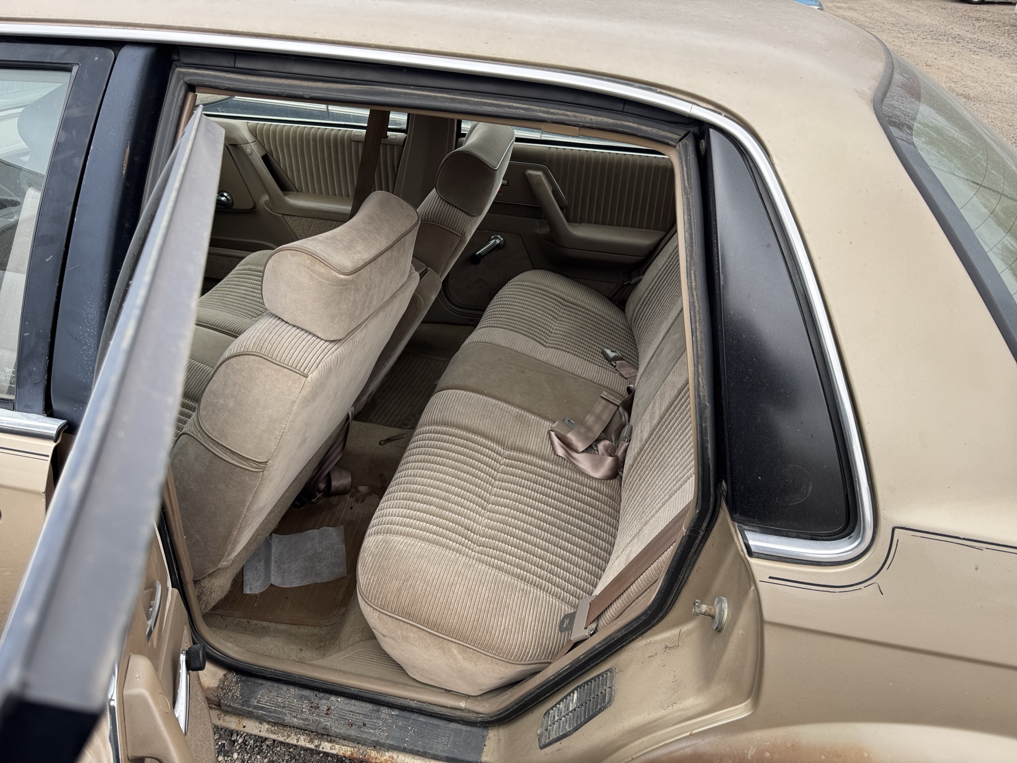 1994 buick century special with 100472 miles for sale near Elk River, Minnesota 106698_24_drv_rear_seat.jpg
