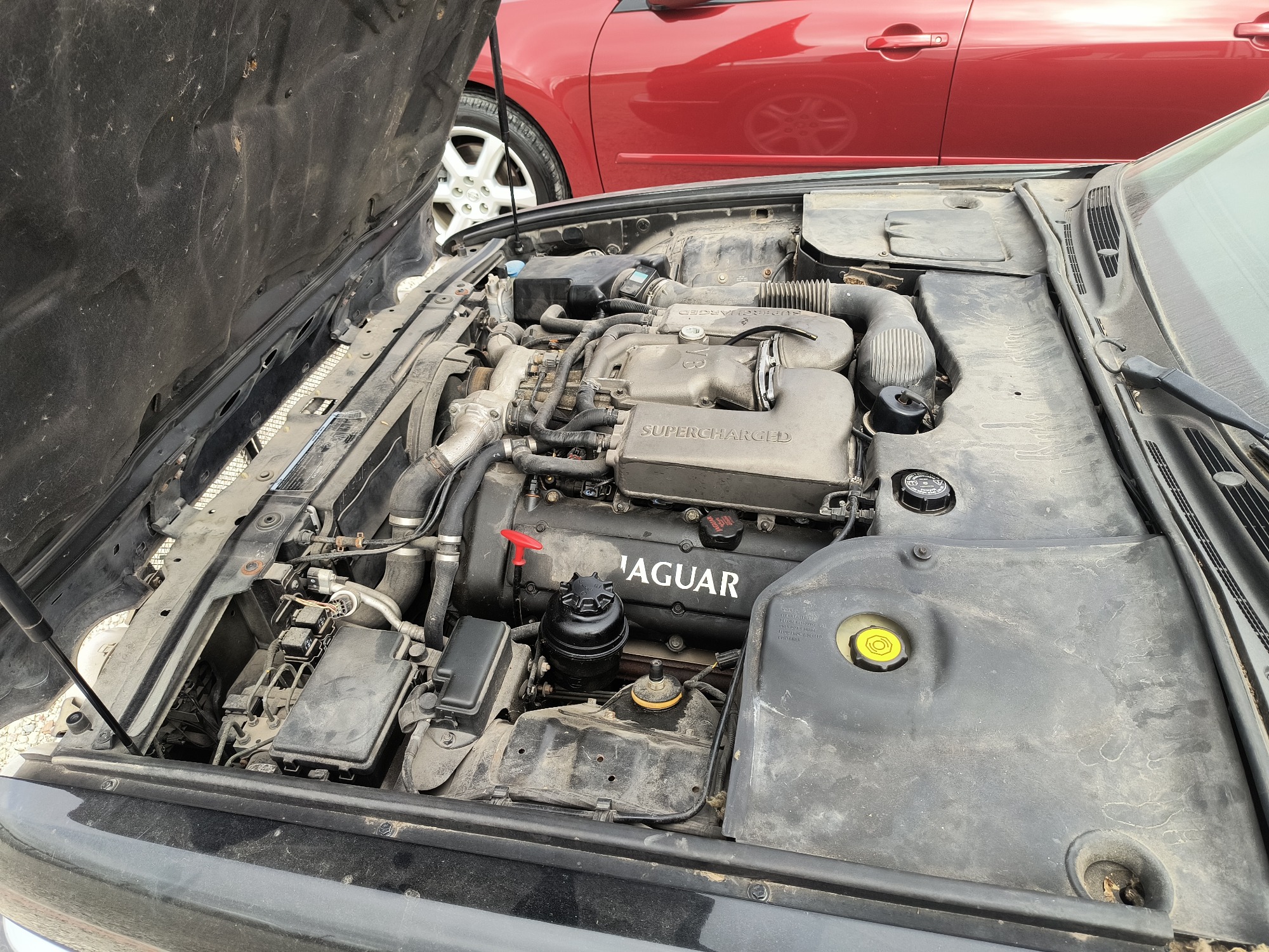 1999 jaguar xj-sedan xjr for sale near Elk River, Minnesota 106707_49_engine_bay.jpg