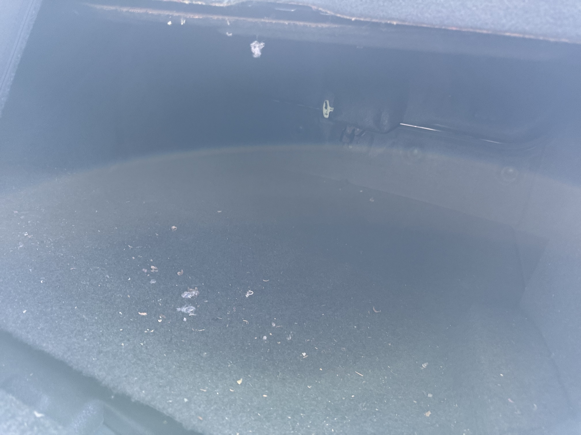 2008 chrysler 300 c for sale near Elk River, Minnesota 106719_26_trunk.jpg