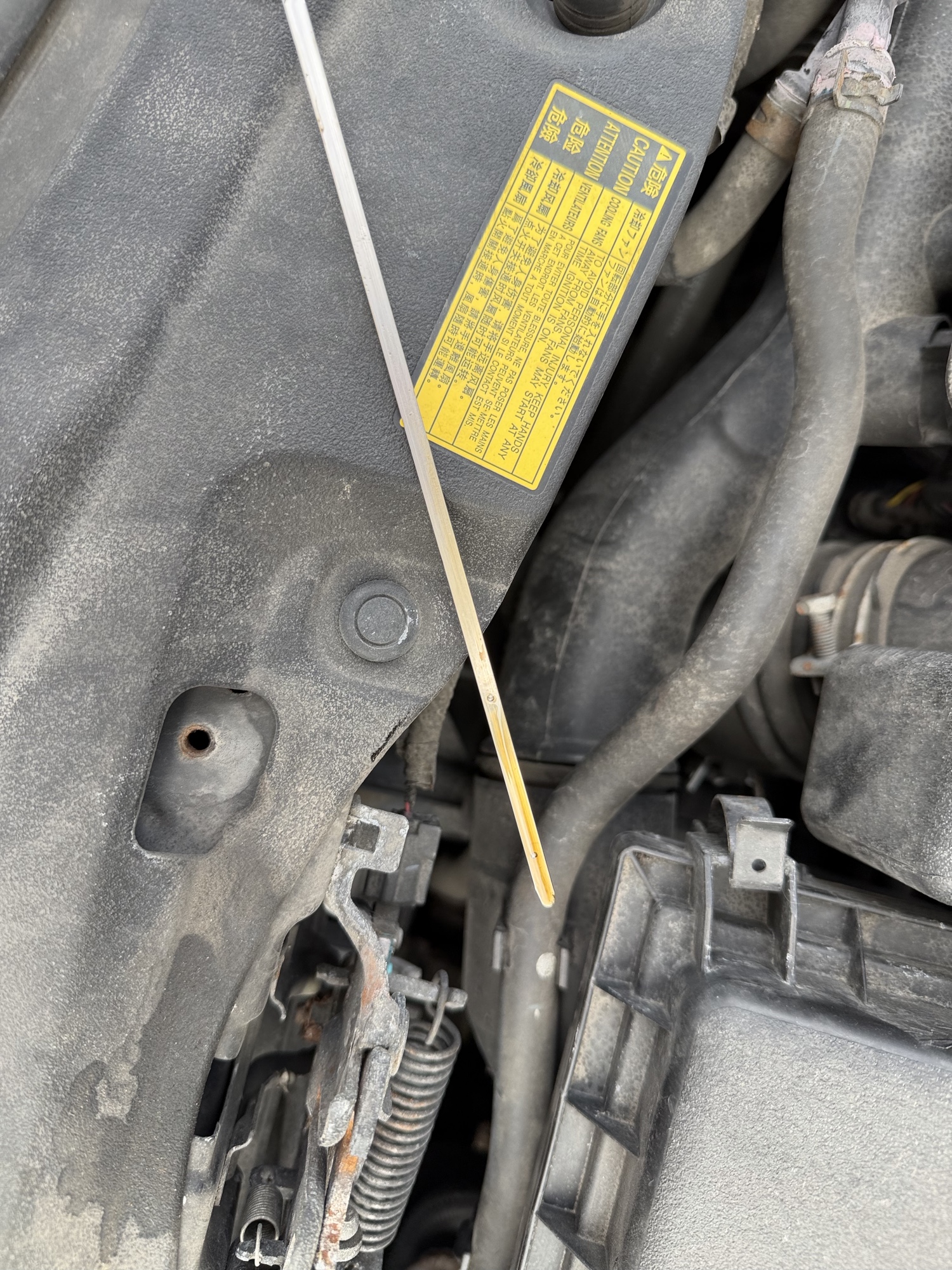 2010 toyota prius prius-ii with 276789 miles for sale near Elk River, Minnesota 106727_50_oil_dipstick.jpg