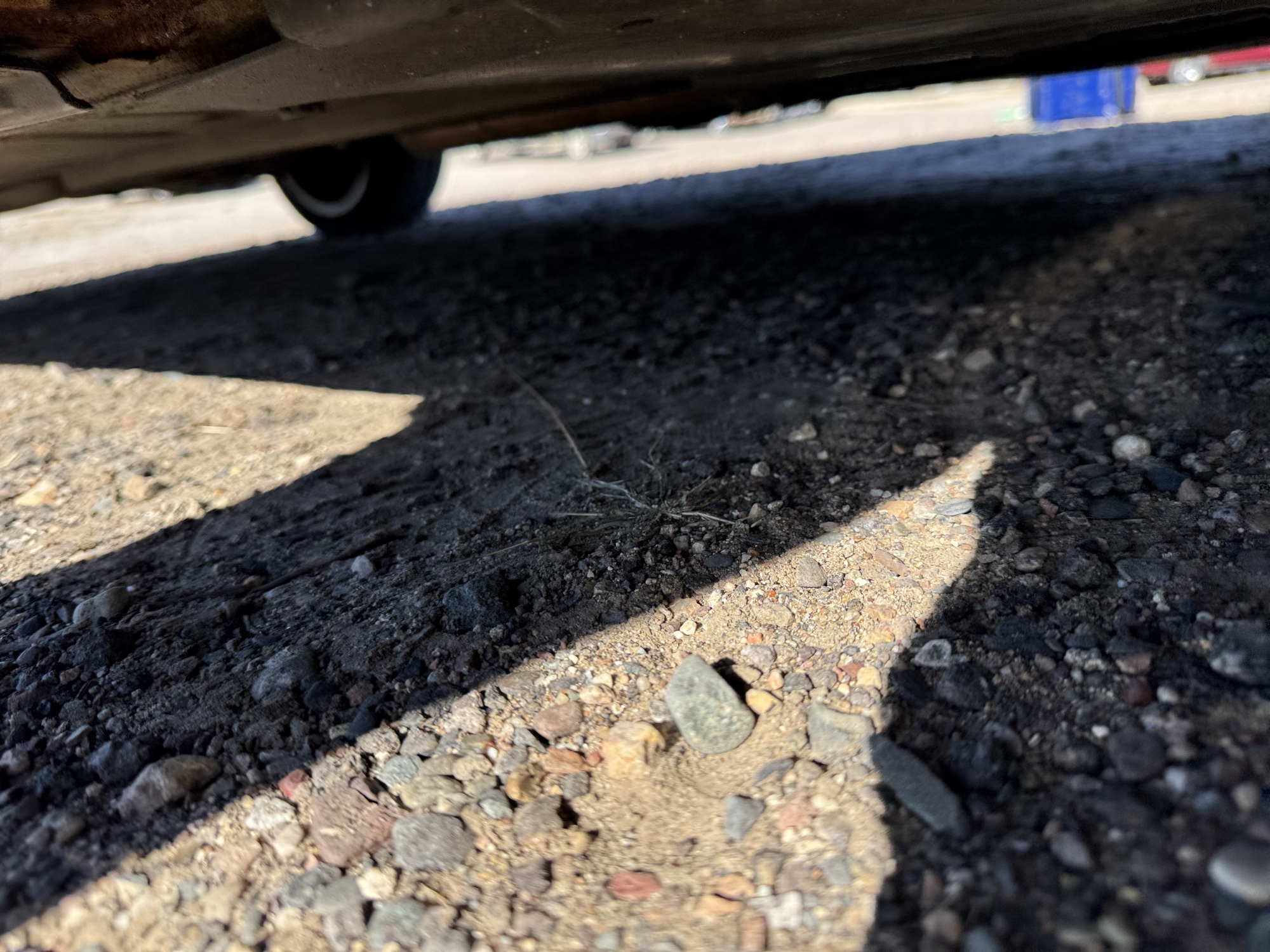 2005 bmw 3-series 330xi-sedan with 184119 miles for sale near Elk River, Minnesota 106728_21_undercar_pass_side.jpg