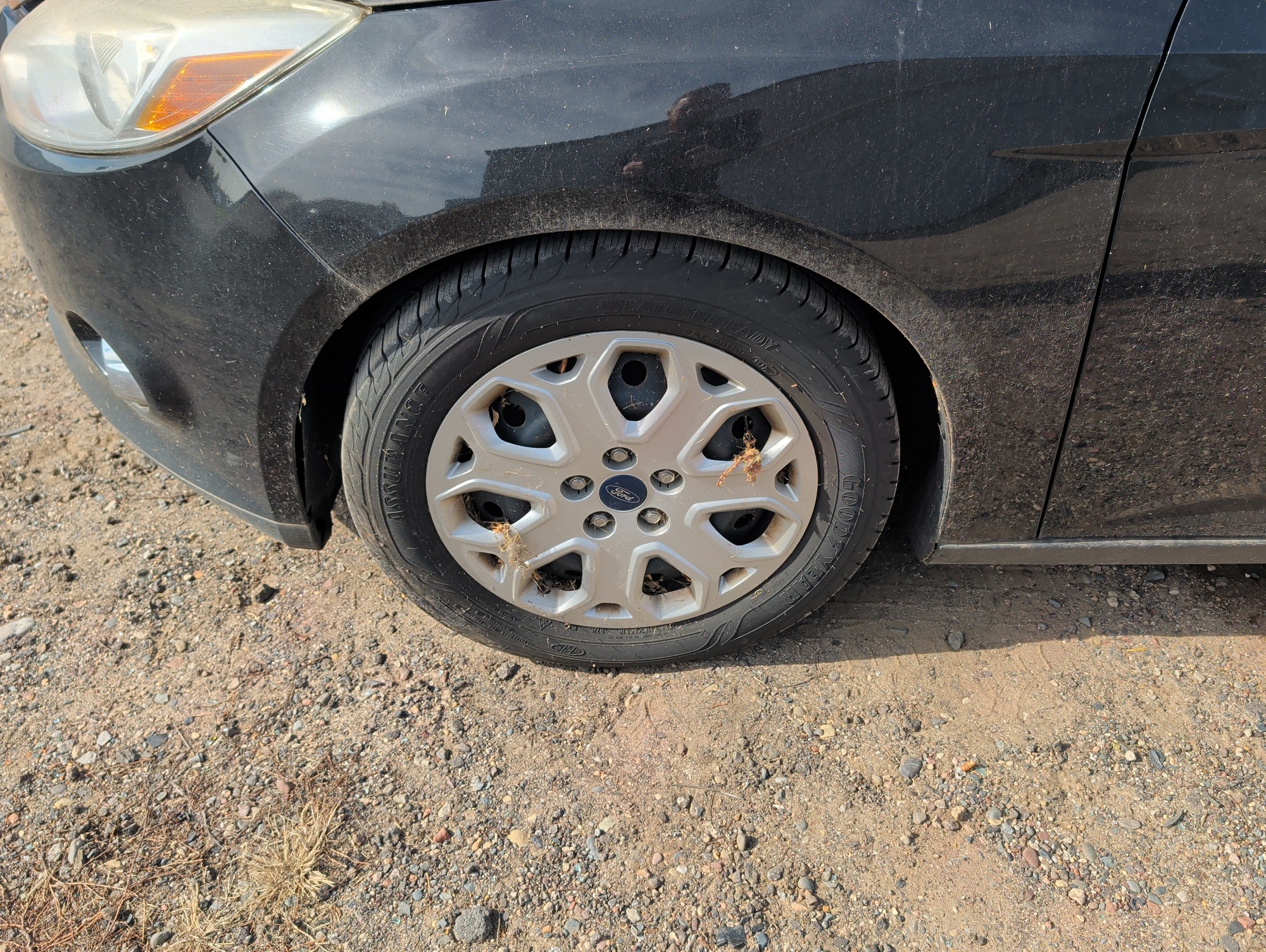 2012 ford focus se with 294536 miles for sale near Elk River, Minnesota 106737_12_drv_front_wheel.jpg