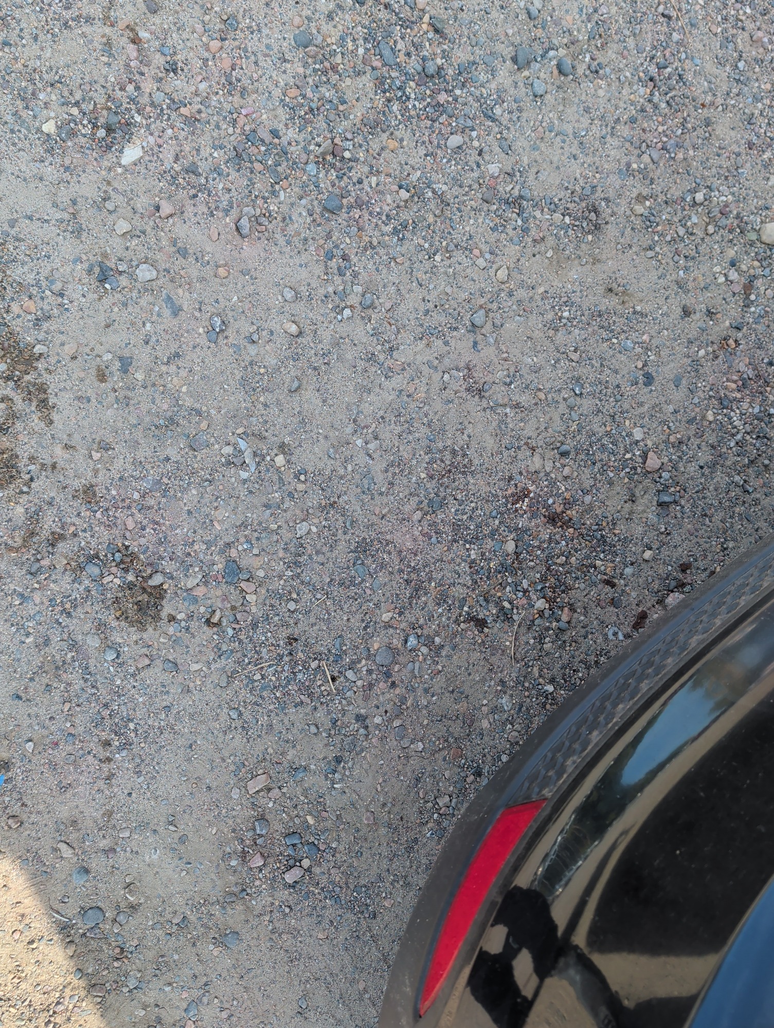 2012 ford focus se with 294536 miles for sale near Elk River, Minnesota 106737_27_spare_tire.jpg